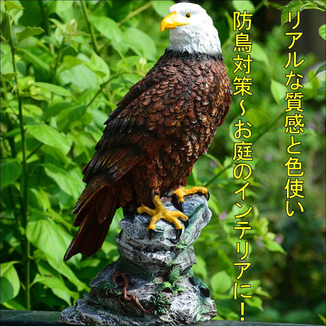 猛禽類用のパーチ　ステンレス　30センチ　リング付き Amazon.co.jp: STTS 猛禽類最強 鷲 ワシ 防鳥 害鳥 庭の装飾 置物