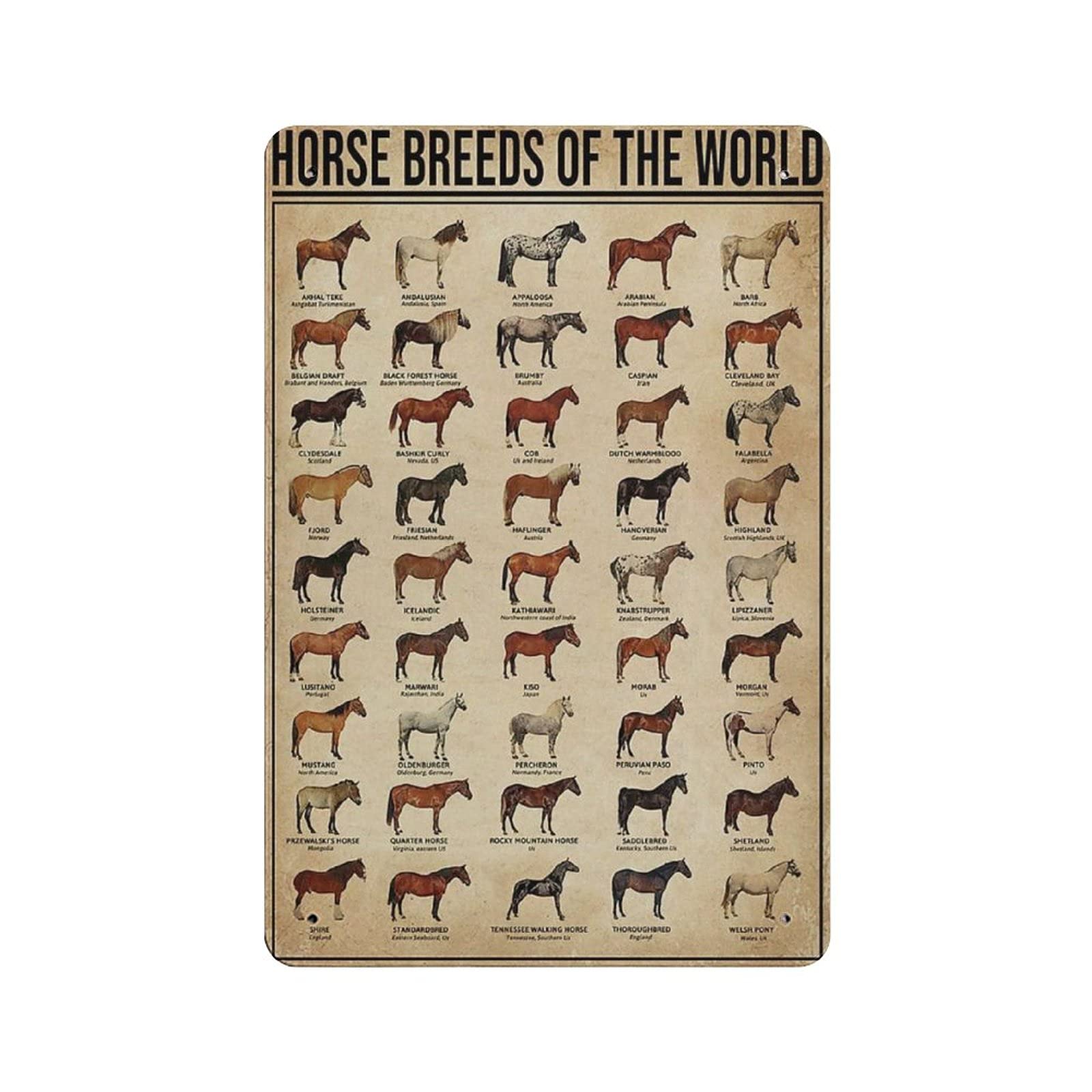 Metal Tin Sign Horse Breeds of The World Knowledge Vintage Tin Poster Metal Sign Wall Decoration Country Kitchen Home Garage Decor 12"x8"