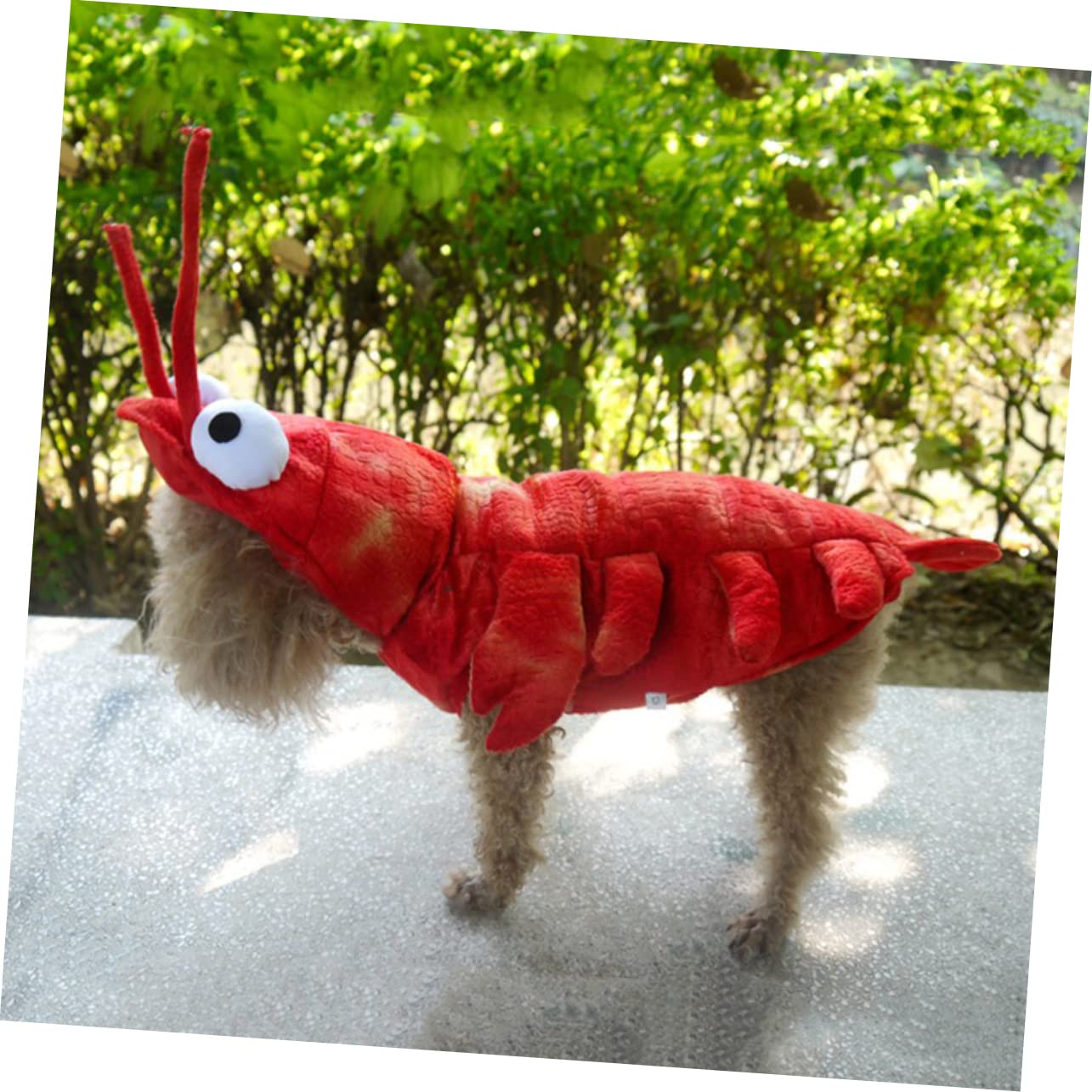 BESPORTBLE 2stücke Hunde-kostüm Für Herbst Winter Warmes Gemütliches Outfit Für Hunde Und Katzen Geeignet Für Corgis Und Leuchtende Farben Für Einen Auffälligen Look