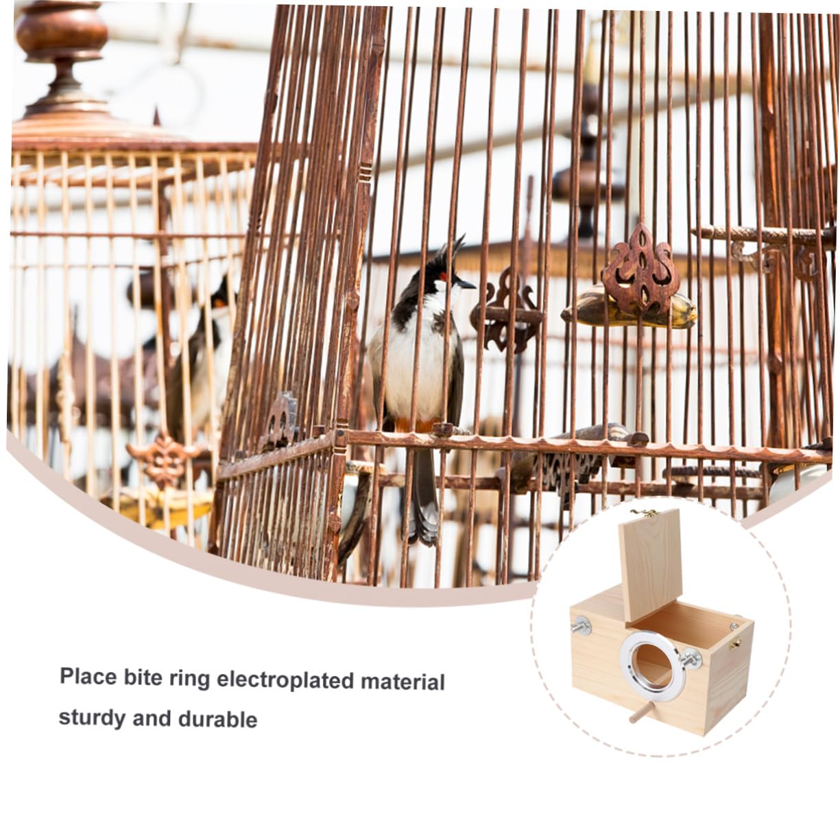 Caja de Cría para de Madera Maciza para Exterior Nido Decorativo para Jardín Mediano Madera de Pino Natural Resistente Pintura para Pajareras Exteriores y Decoración de Aves
