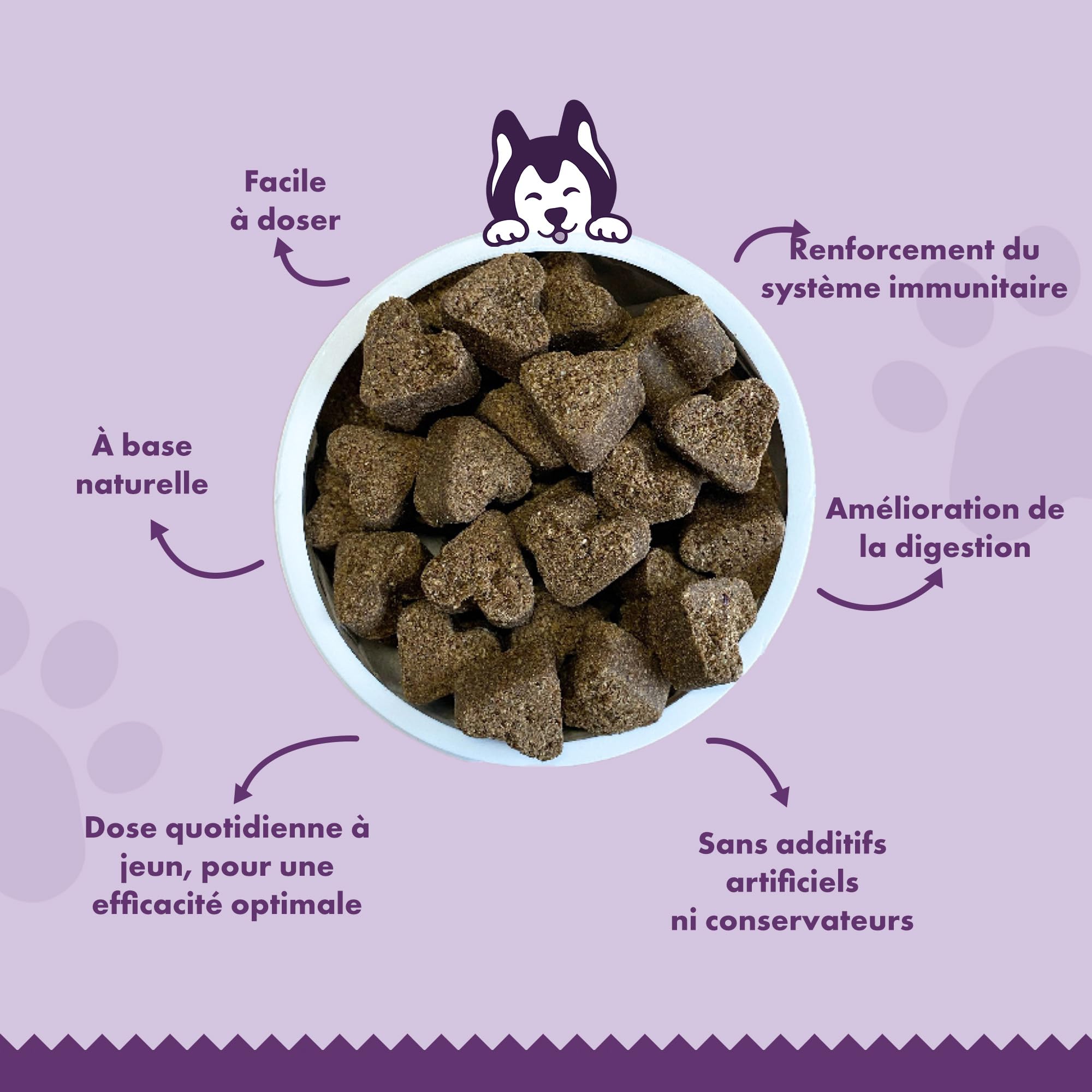 Friandises Probiotique Flore Intestinale pour Chiens – 90 Pièces Hypoallergéniques – Renforce la Flore intestinale, favorise la Digestion et Le système immunitaire – 100% Naturelles - Saveur Poulet