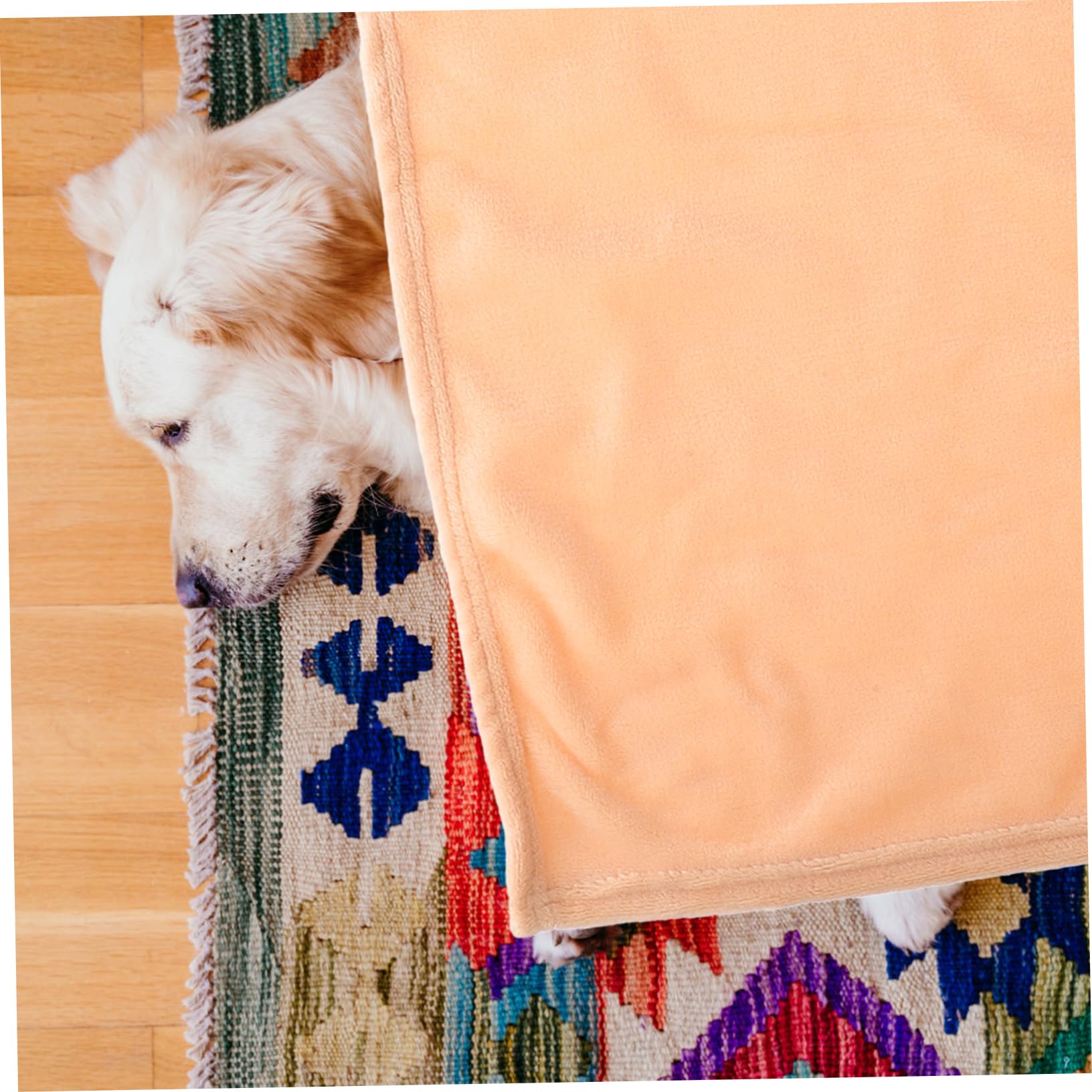LIFKOME 4pezzi Gorgeous Flannel Fleece Pet Blanket Coperta Pile Per Domestici Camel Per e