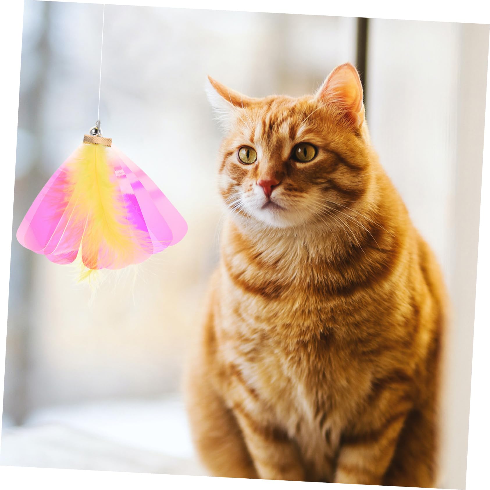 Kisangel 24pièces Recharges De Jouets à Plumes pour Remplacements De Canne Chat avec Libellules Et Et Interactif