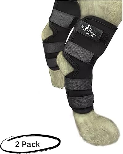 Miniatura 8 de Doggie Stylz Soportes de pierna de perro para pierna trasera, ajustable, para recuperación de desgarros, artritis, soporte de movilidad de primera