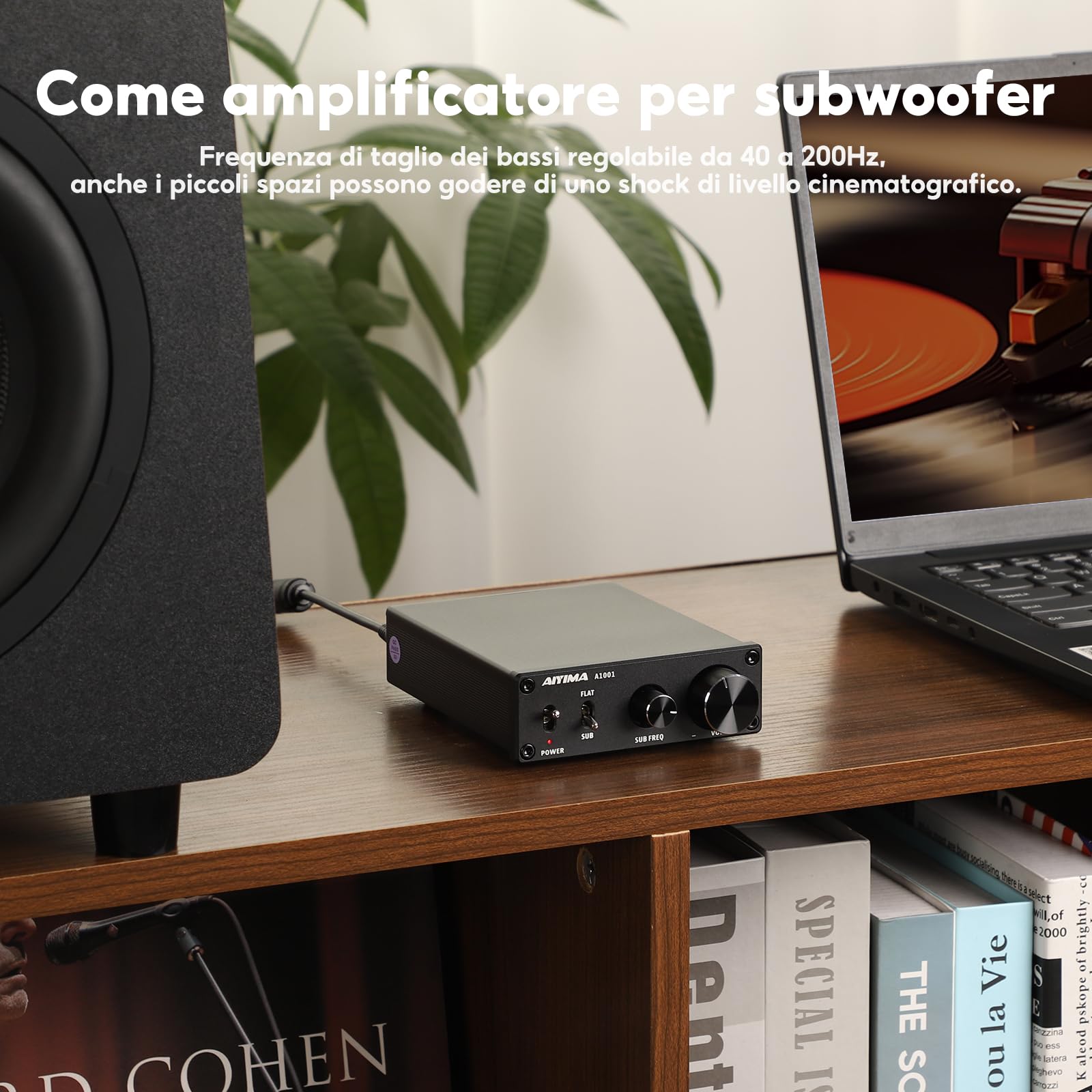 AIYIMA A1001 Mono amplificatore subwoofer amplificatore classe D HiFi Digital Power Amplificatore audio AMP 100W Home Theater with 24V power supply
