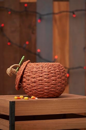 Miniatura 2 de C&F Home Calabaza tejida a mano dulce dulce dulce contenedor naranja