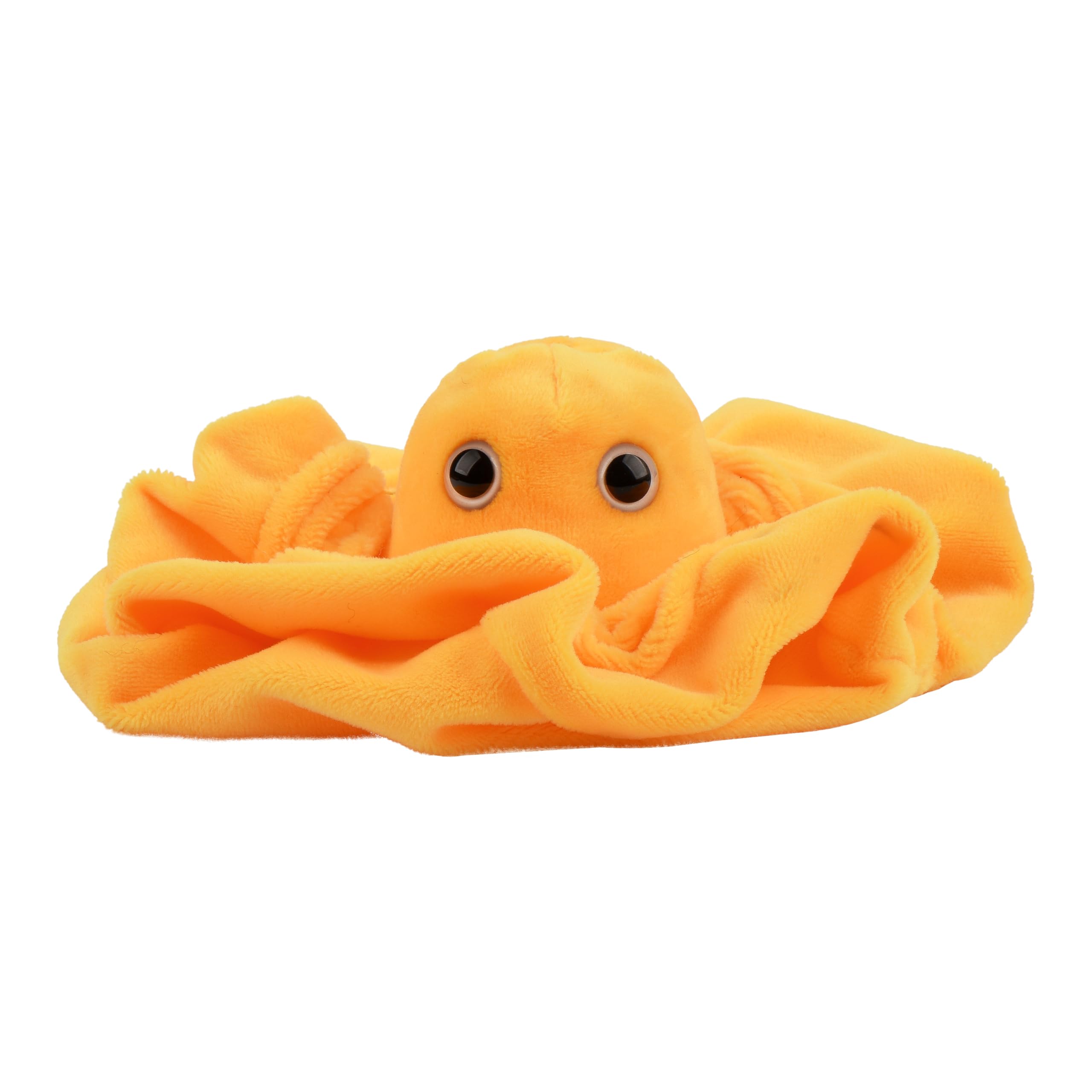 ひよこのまま♡　CELL CURE 47 PLUS Amazon.com: GIANT MICROBES Plasma Plush, Blood Cell Plush, Blood
