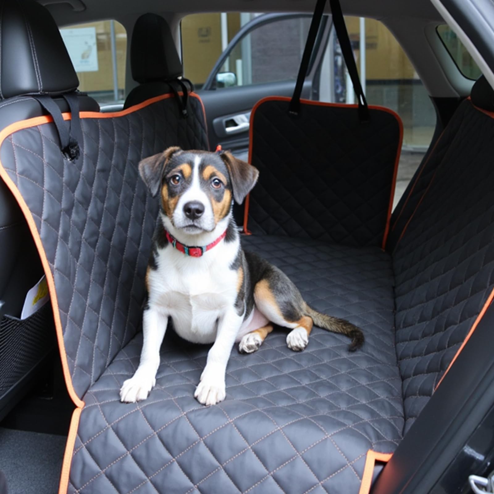 Amazon Basics Dog Car Seat Cover for Back Seat, Scratch-Resistant Nonslip Hammock with Side Flaps and Seatbelt Openings for Cars, SUVs, and Trucks, Black - image 7