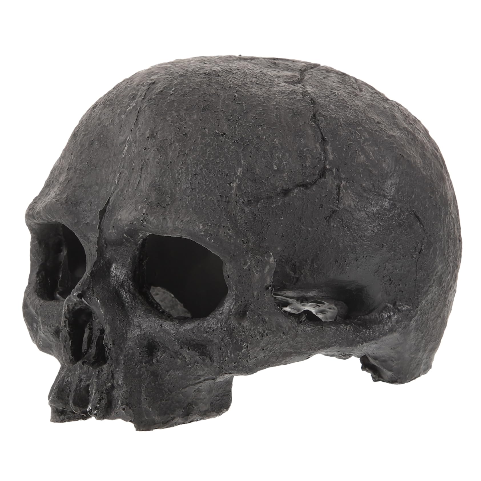OUNONA Lot De 4 Têtes De Mort Décoratives pour Aquarium Tête De Mort Sirène Lézard Poissons Tropicaux Accessoires pour Aquarium Faux Reptiles Squelette en Résine Noire