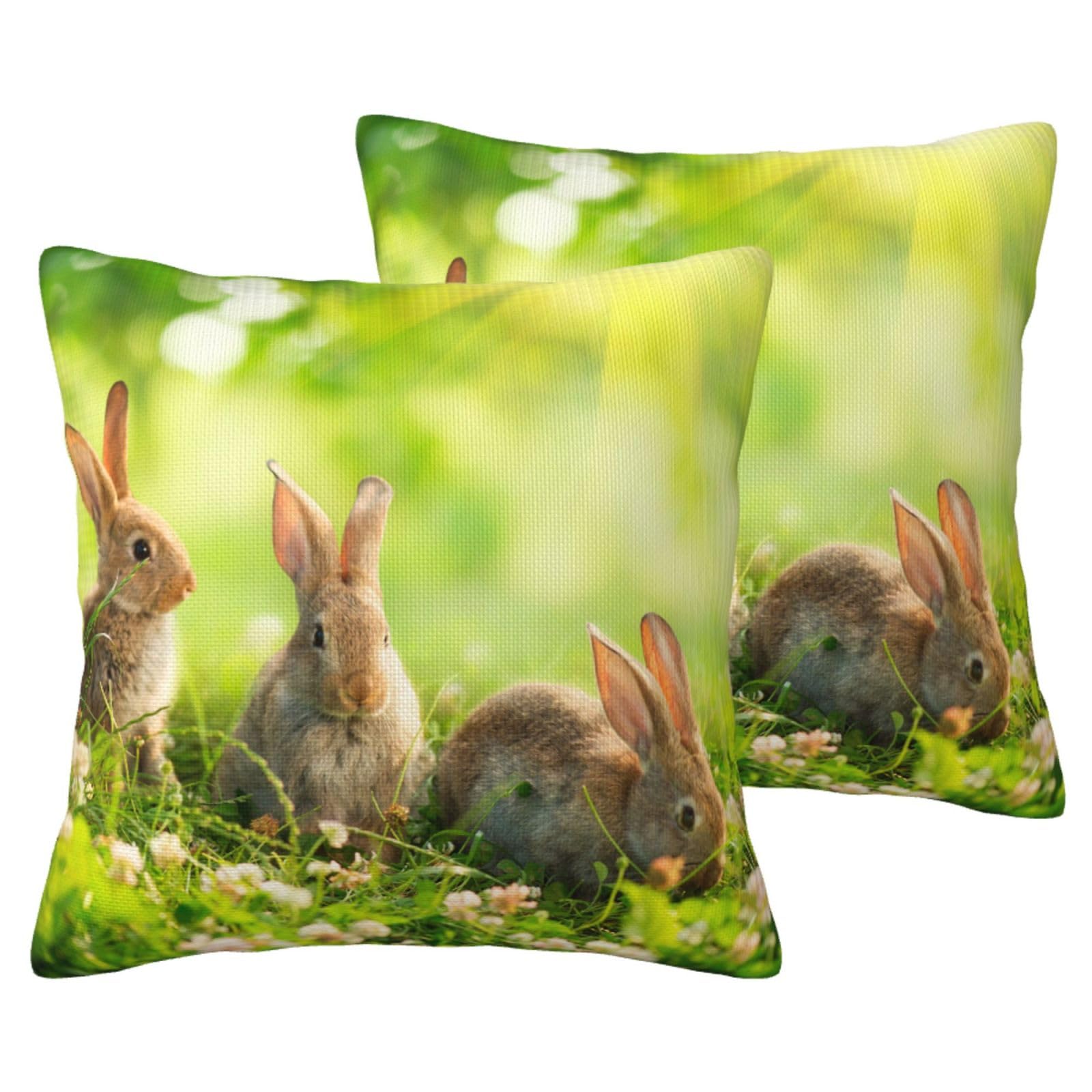 Housse de coussin lapins amusants pour décorer le salon