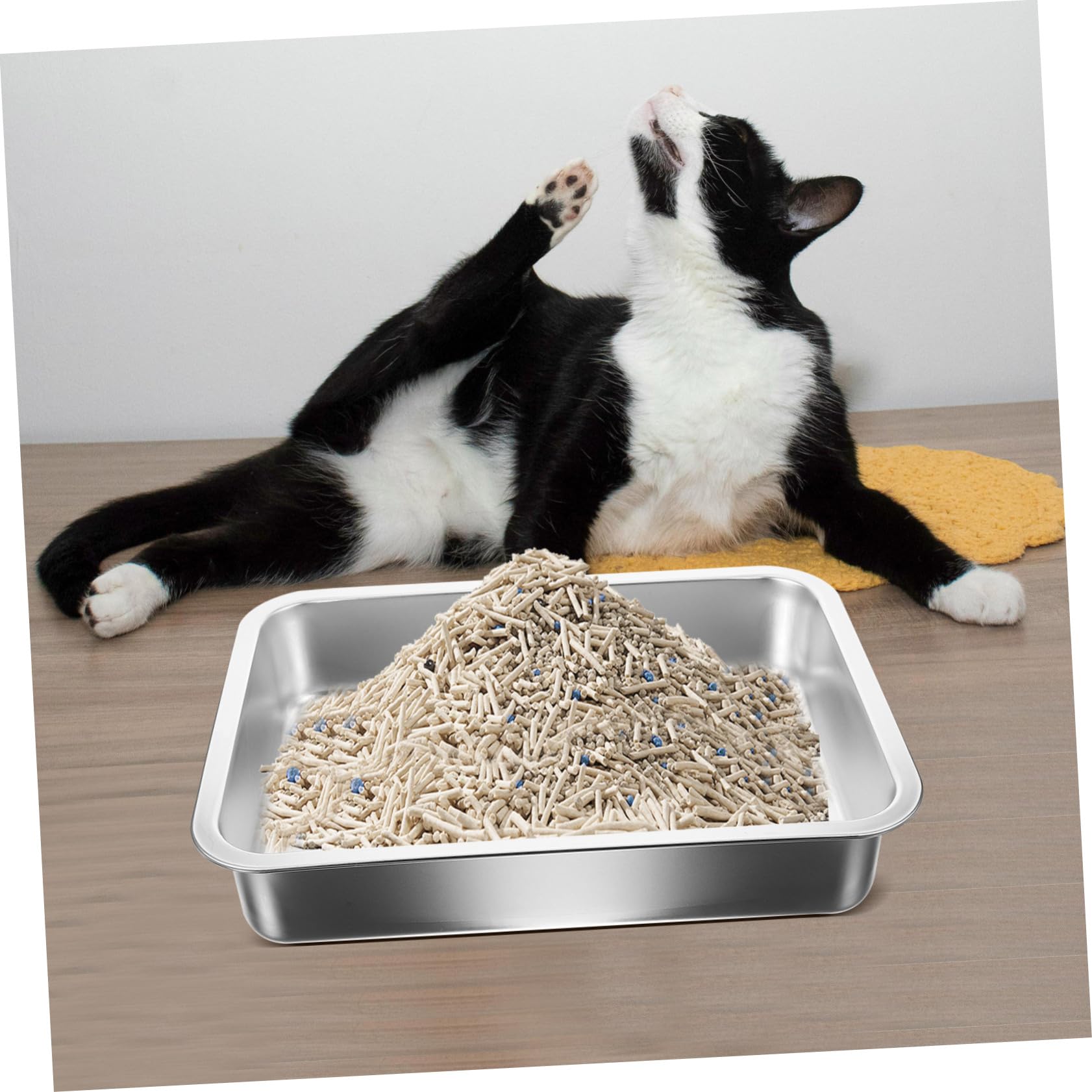Toyvian Lettiera Gatto in Inox Aperto Capacità e Facile da Pulire, per Addestramento Gattini e Interno