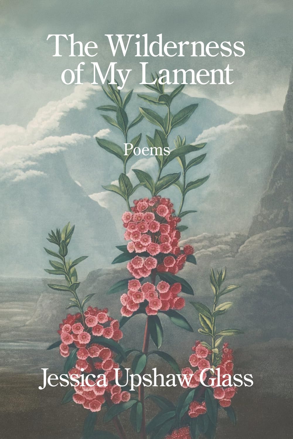 The Wilderness of My Lament
