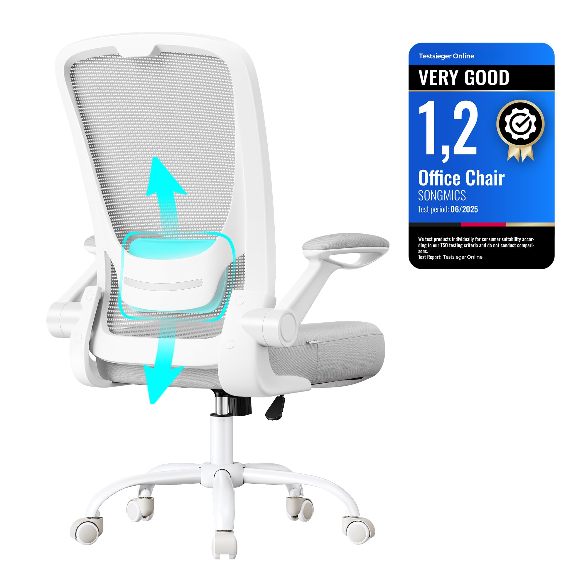 SONGMICS Office Mesh Chair, Ergonomic Swivel Chair, Lumbar and Head Support, Wide Seat, Foldable Armrests, Tilt Function, for Office Bedroom, Dove Grey OBN037G03