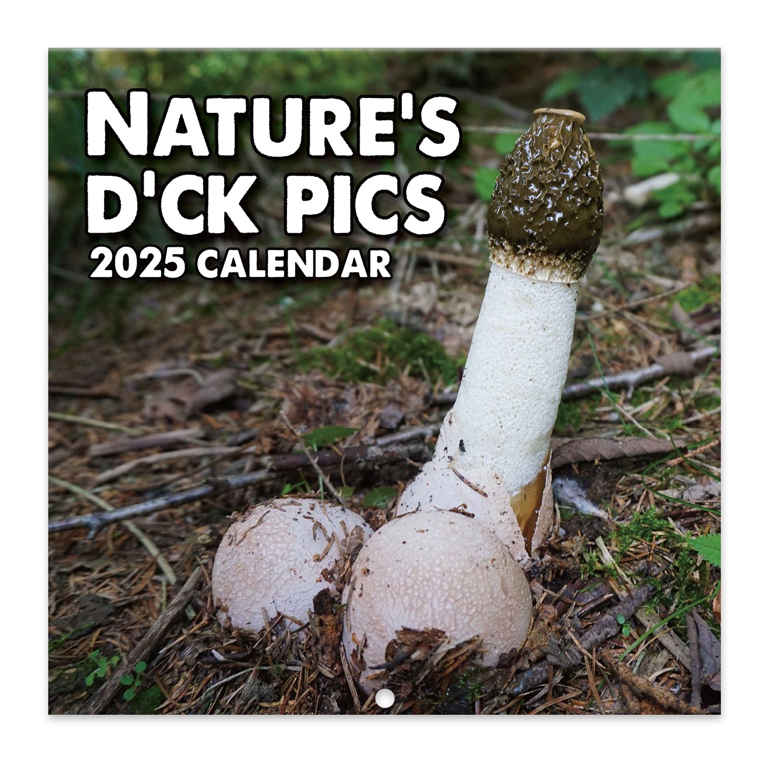 Feteulo2025 Wall Calendar - Wall Calendar 2025, January 2025 - December 2025, 12" x 24" (Open)