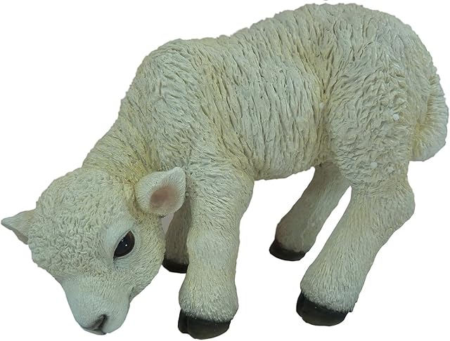 Vivid Arts Real life Lamb standing with head down (small)