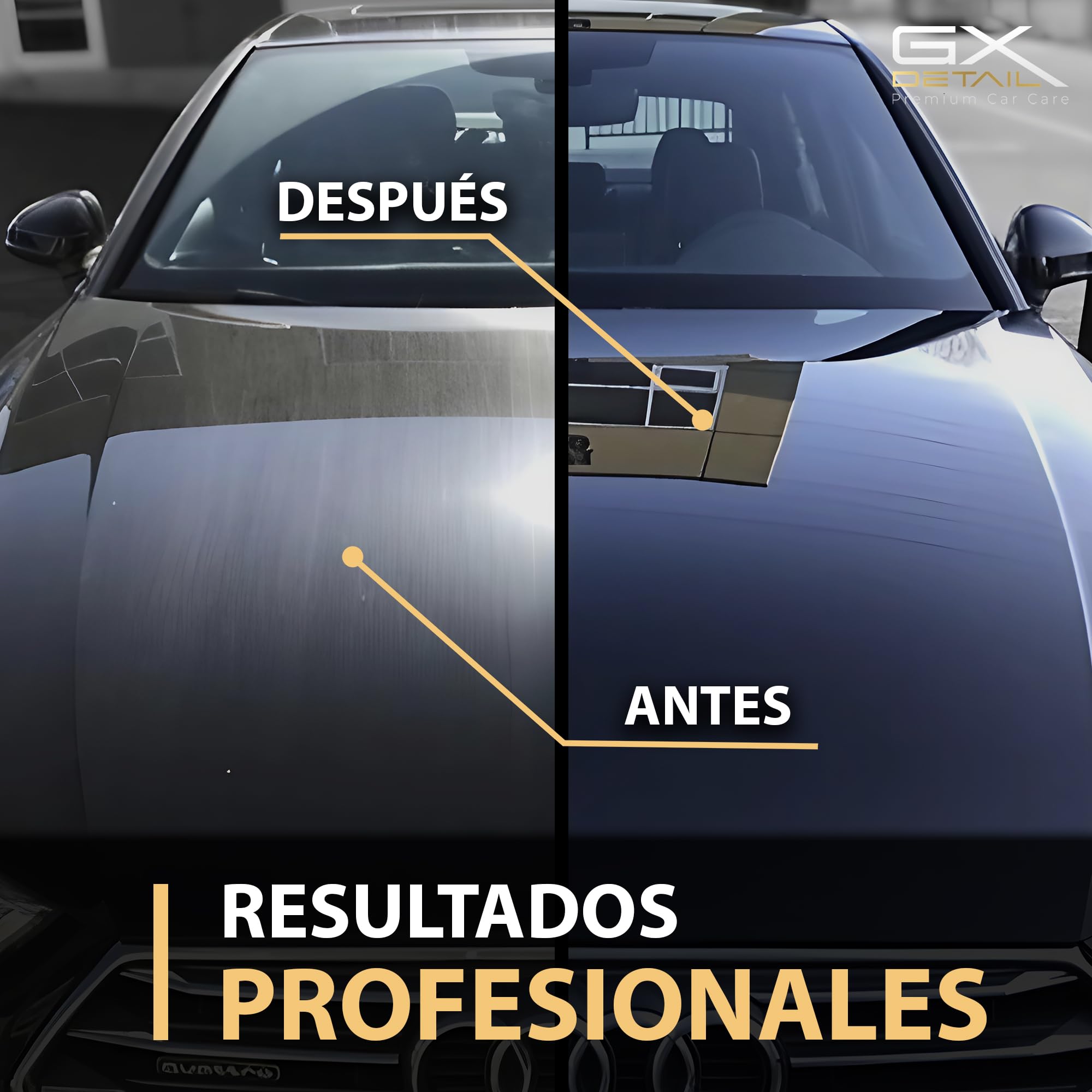 GxDetail Cera Líquida de Carnauba para Coche 5 Litros – Limpieza en Seco - Brillo Profundo y Protección Duradera – Acabado Hidrofóbico y Resistencia UV – Fácil Aplicación y Secado Rápido.