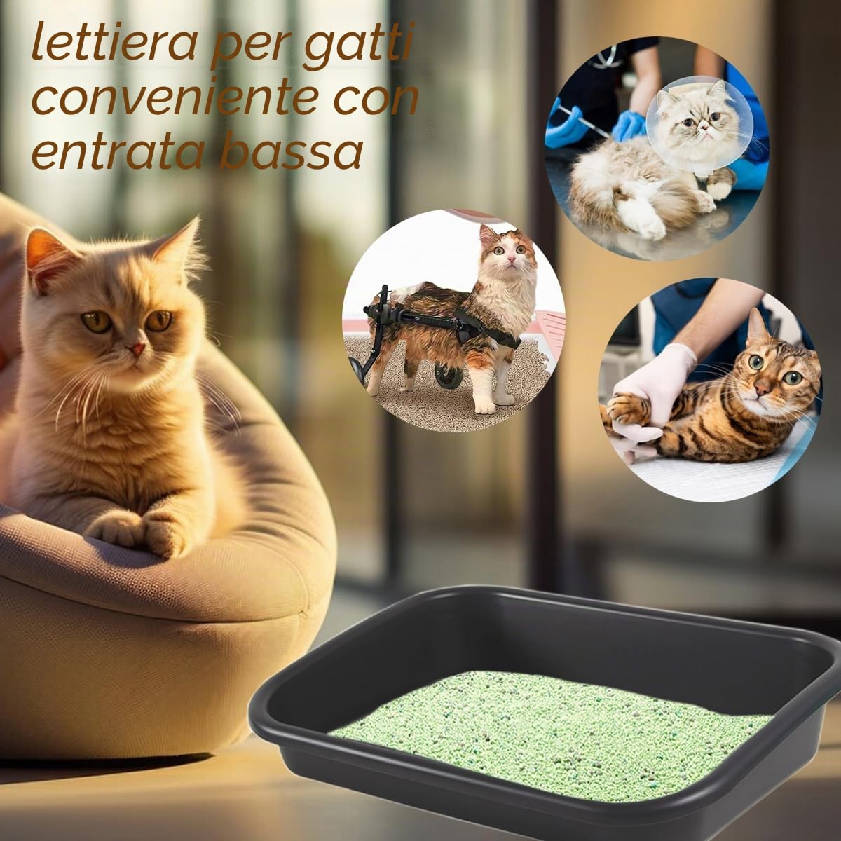 Lettiera per gatti anziani con ingresso basso, 3 pezzi, dimensioni extra large, con ingresso basso, apertura superiore, per gattini, disabili, anziani e gattini, facile da pulire (grigio scuro)