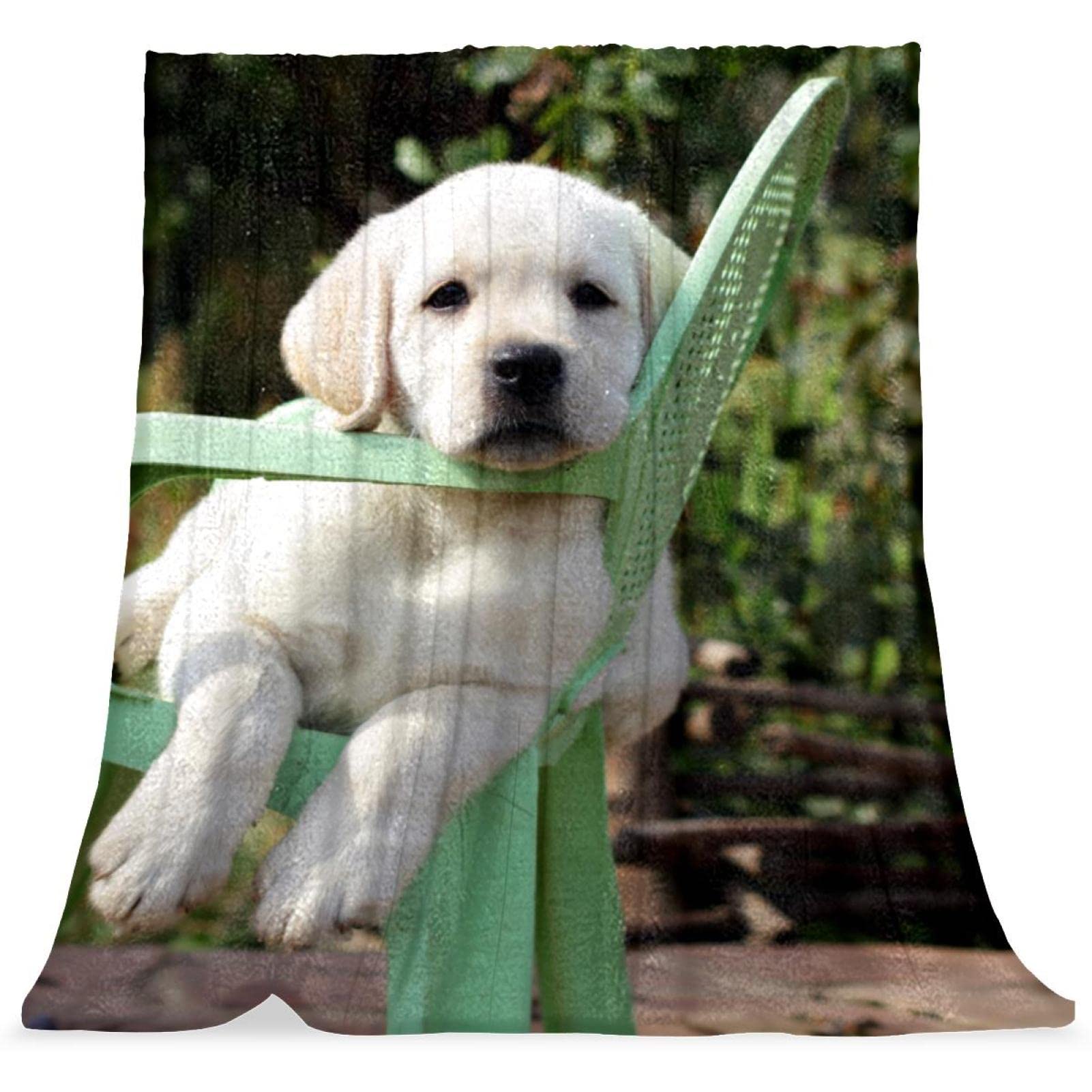 Couvertures en microfibre blanche imprimée animal chiot pour l'hiver