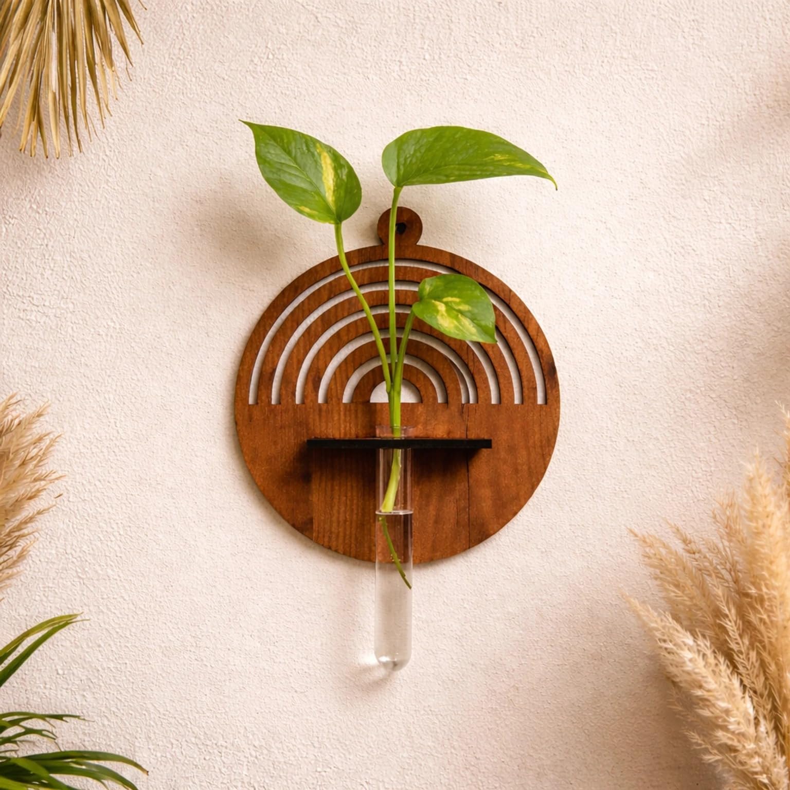 LOKANDA Craft Rainbow Wall Mounted Plant Propagation Vase with Glass Test Tube | Hydroponic Wall Hanging Planter for Home, Office & Living Room Decor-image-30