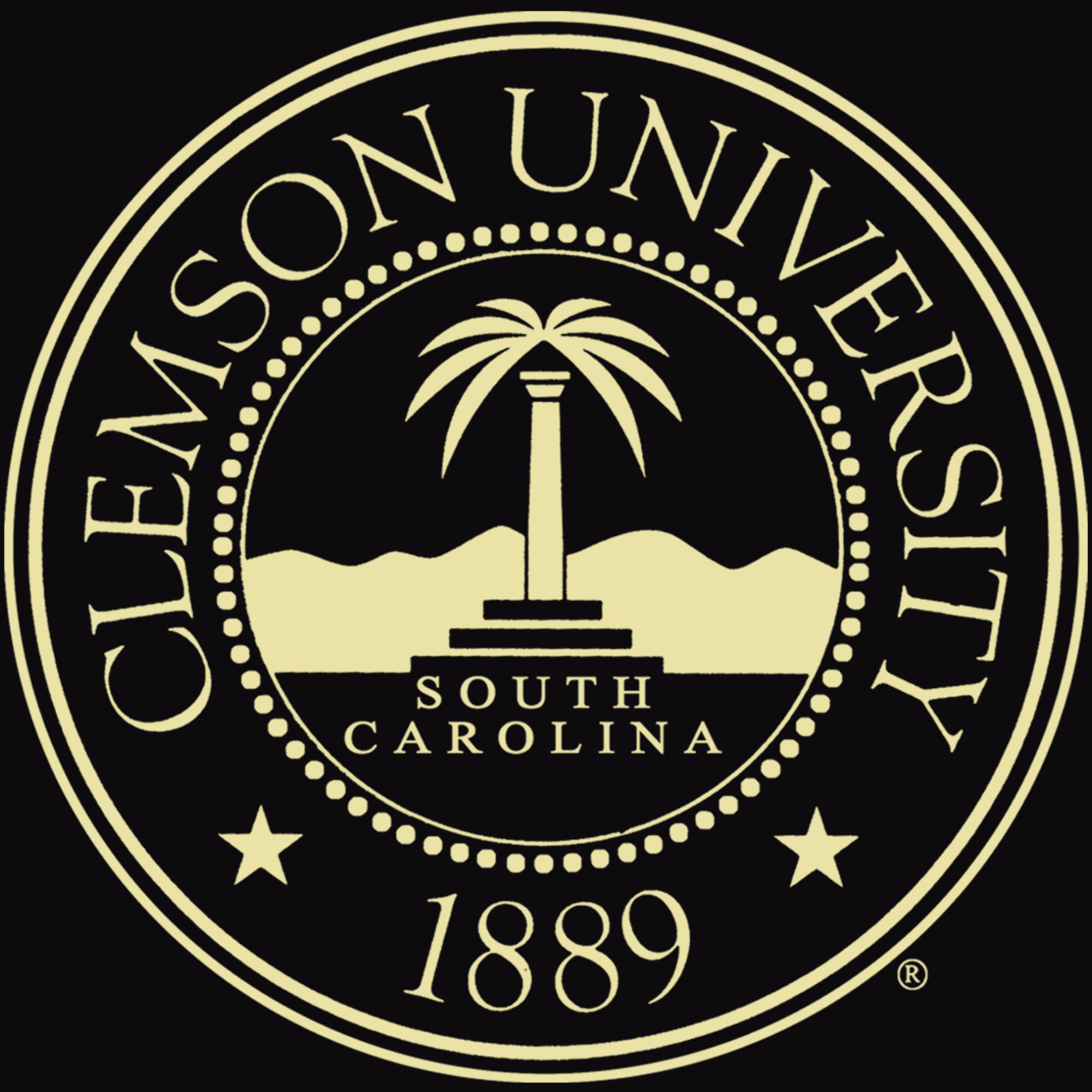 Campus Images Cornice Per Diploma Clemson University Con Litografia - Legno Dorato 18.75x25.75 Pollici, Fatta A Mano USA