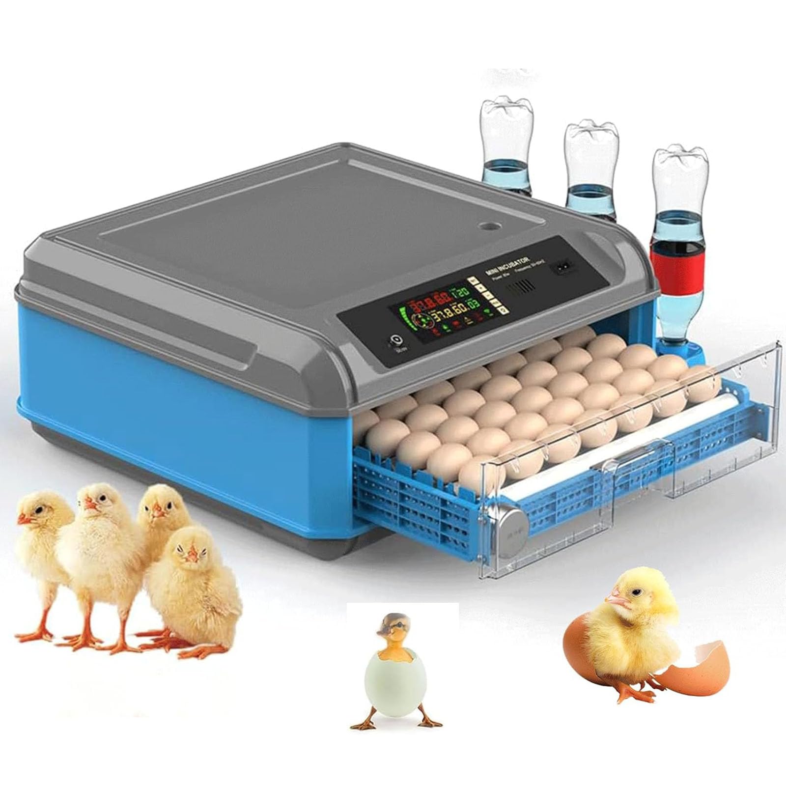 Incubatrice automatica per uova con controllo della temperatura e dell'umidità per la cova del pollame