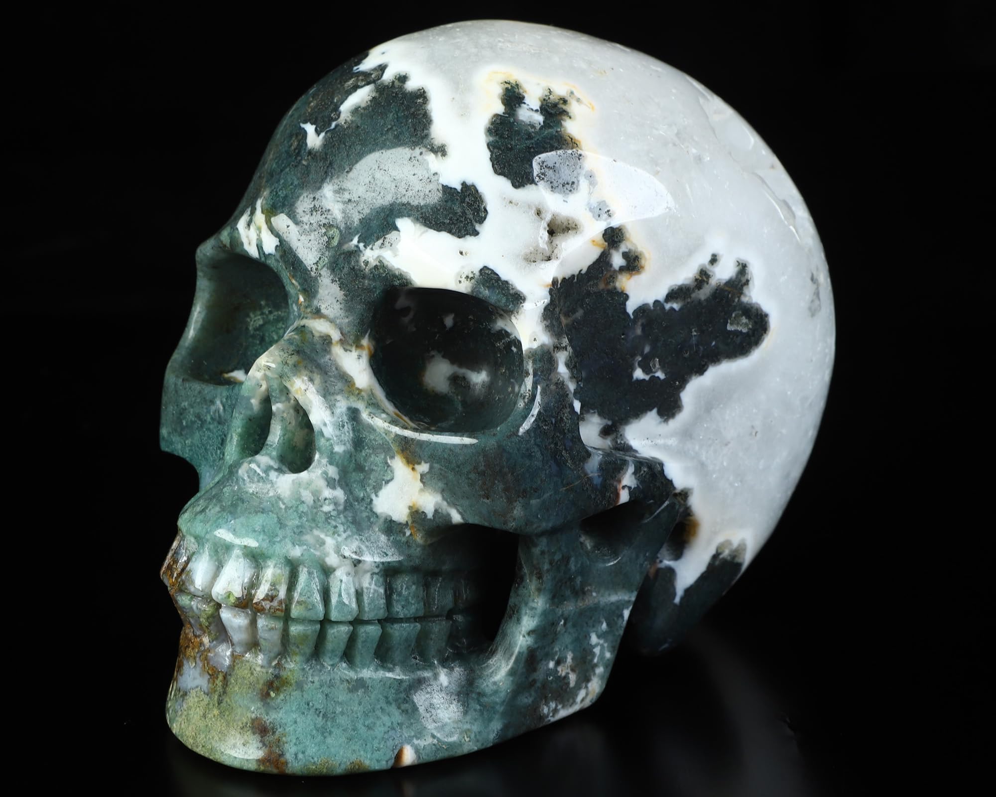 Amazon.com: Skullis 5.0” Green Moss Agate Crystal Skull, Hand