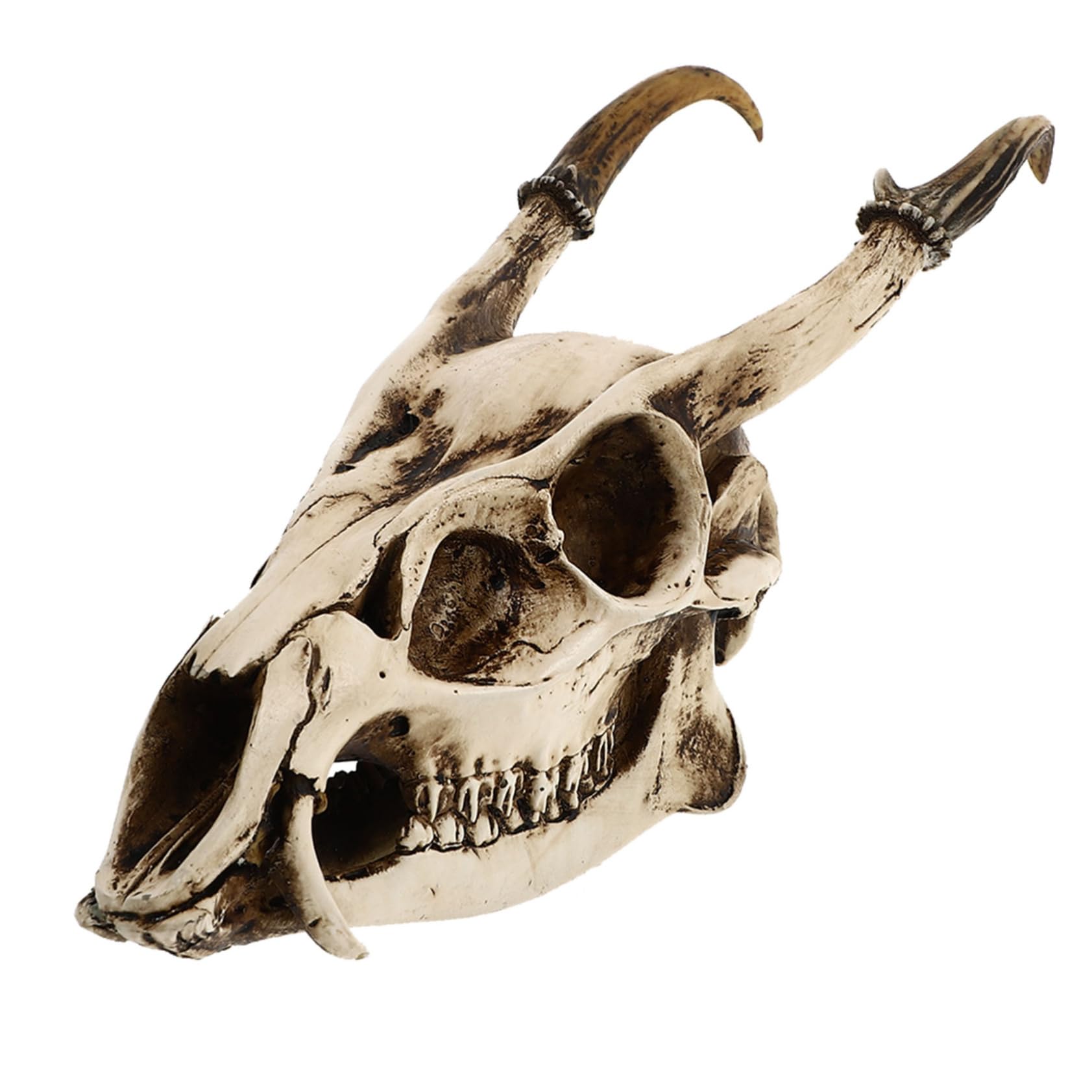 Cabilock 1 Pc Adorno De Calavera De Cabra Decoración De Cuernos De Cabra Kit De Collage De Pared Cabeza De Animal Decoración De Calavera De Oveja Ram Mesa Resina Póster Acuario