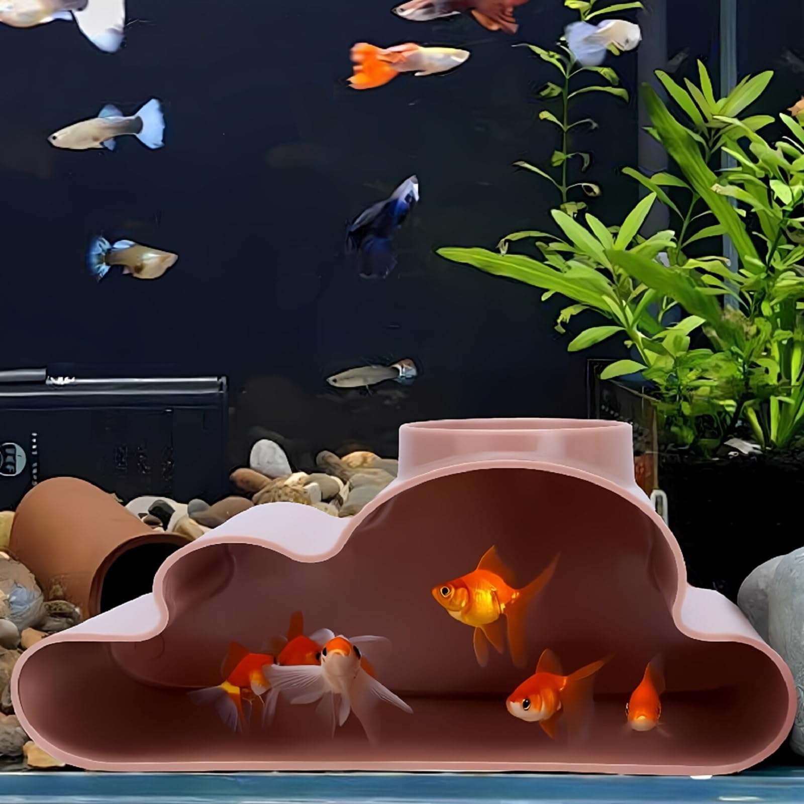 fish accessories safe for snake Albino Red Tail Snakeskin Guppy Pair Color Contrast The Reptile Underground Cave Viewing Hide is designed for both reptile comfort and owner enjoyment Reptile Hide Cave w/Viewing Window