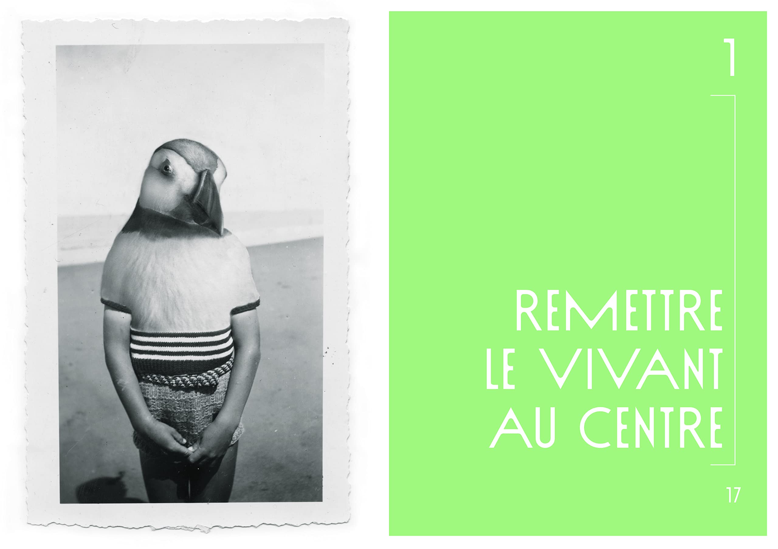 L'ARTISTE ET LE VIVANT - POUR