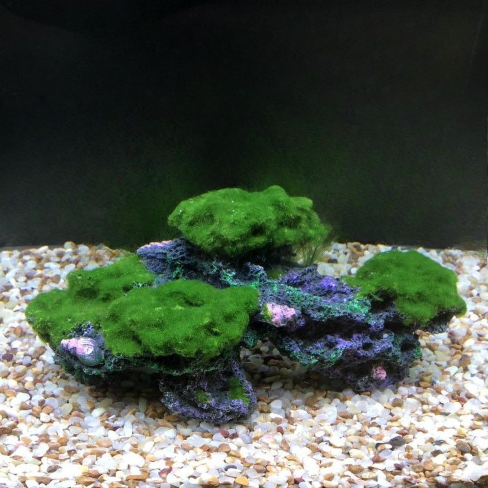Decorazione per acquario in resina, barriera corallina, 27,5 cm, decorazione per acquario