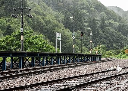 Amazon ポスター シール式ステッカー 297 4 A3 線路 電車 写真 フォト 壁 壁紙 インテリア おしゃれ 剥がせる 飾り ウォールステッカー Igsticker Wall Sticker Poster 0231 Igsticker 家電 カメラ