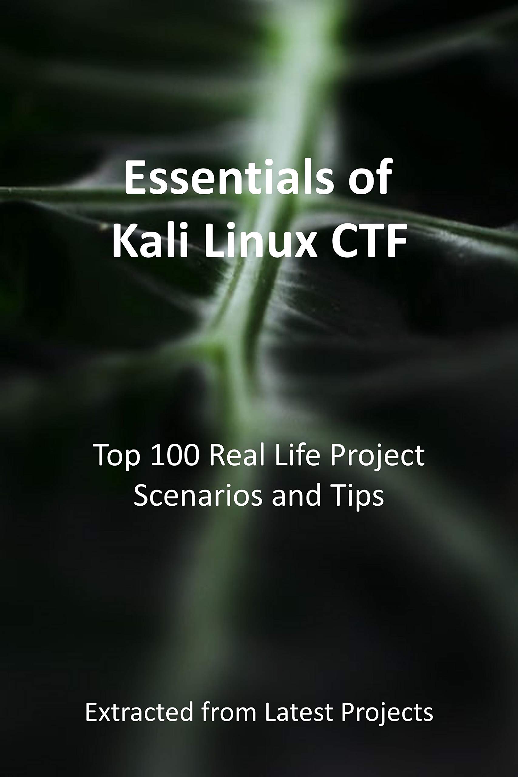 Essentials Of Kali Linux Ctf Top 100 Real Life Project | Desertcart INDIA