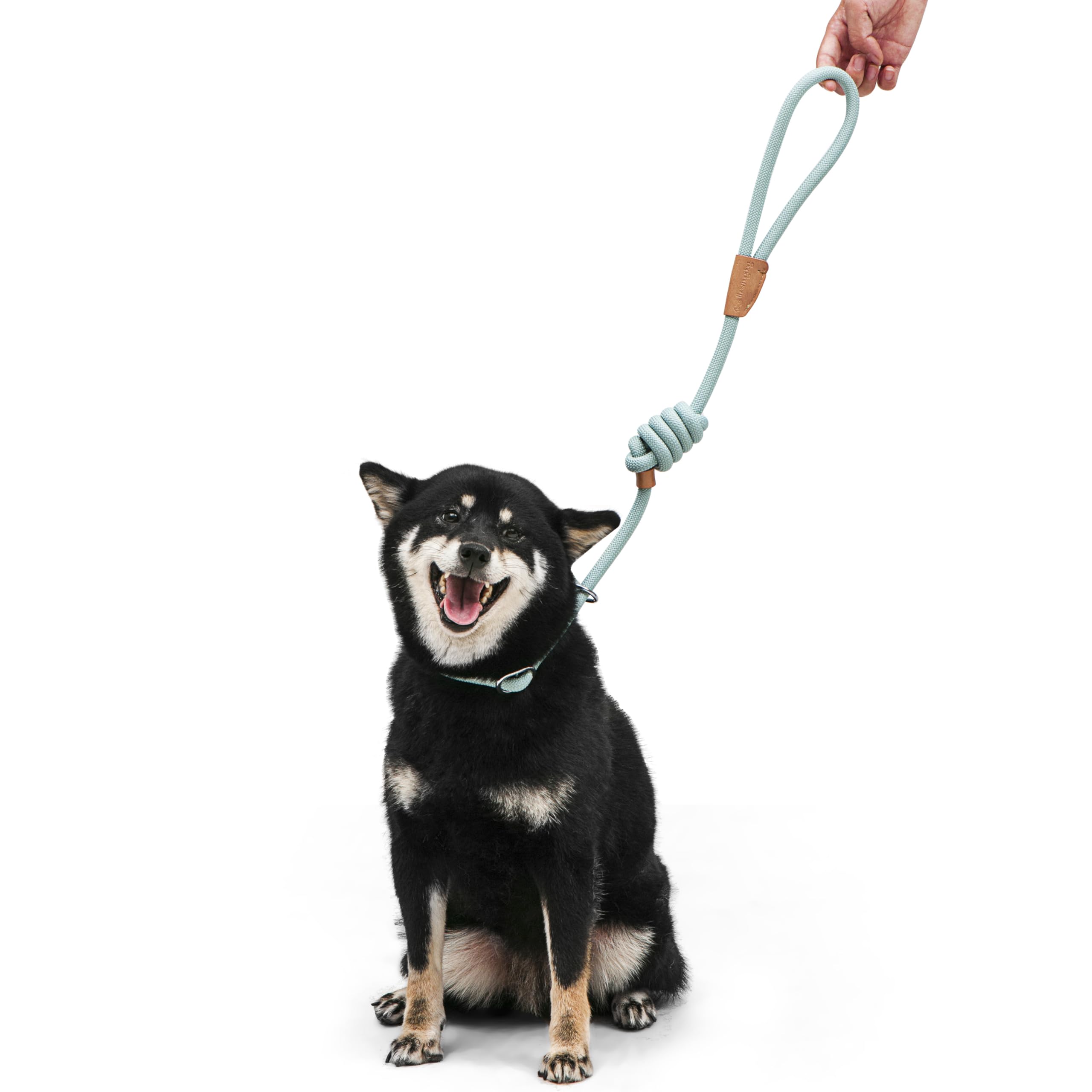 The Smug Dog Slip Leash for Dogs - 150cm Training Dog Lead, Blue - Image 3