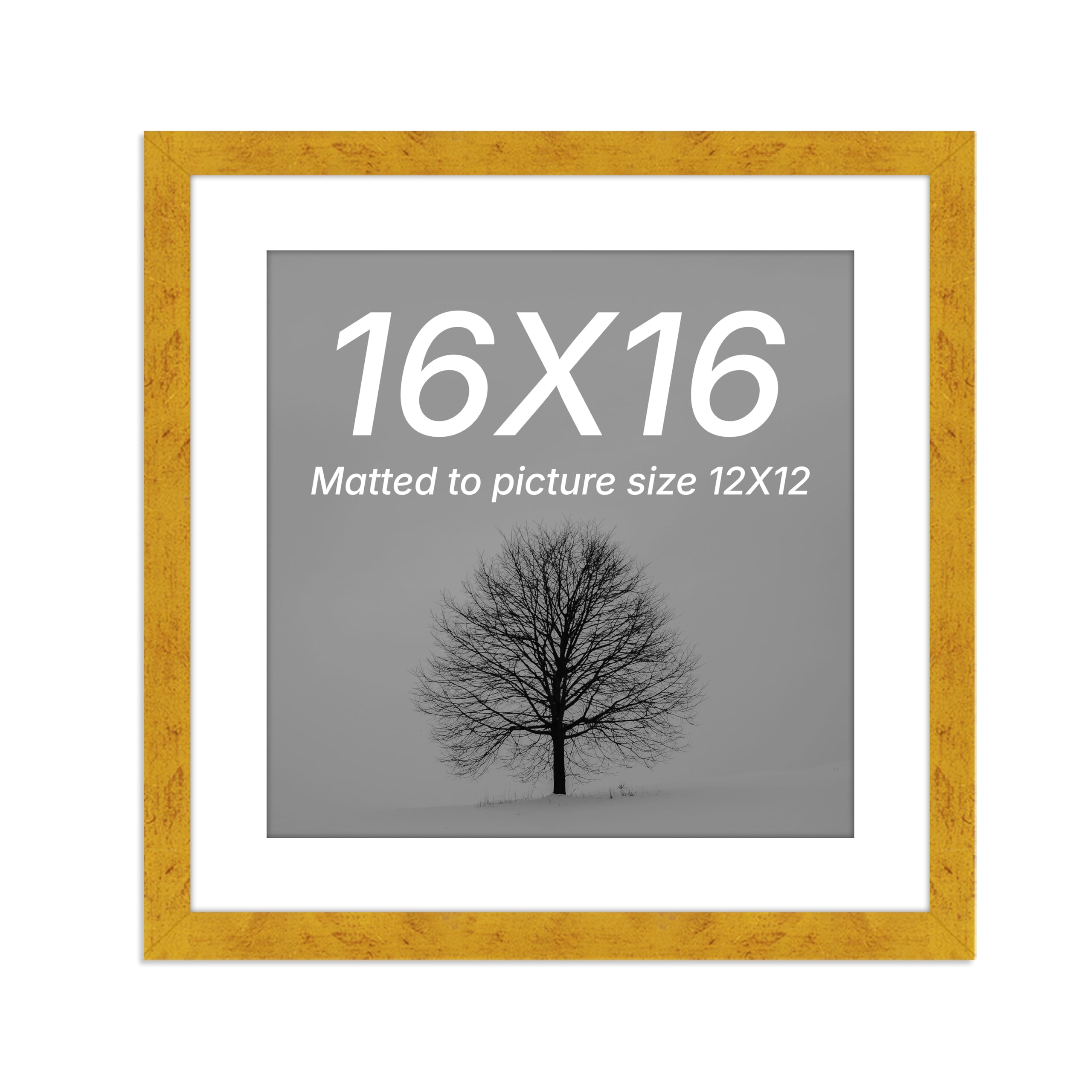 Art Street Synthetic Document Large Size Wall Photo Frame, Big Frames For Wall Artwork, Certificates, Picture & Photographs Home Decor (16x16 Inch, Matted To: 12X12 Inch, Gold)