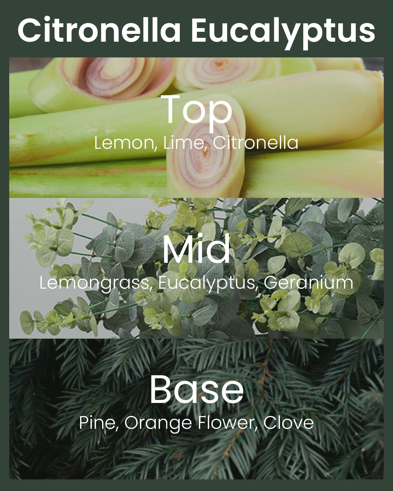 M&SENSE Bougie Parfumée à la Citronnelle Eucalyptus, Extérieure avec Couvercle, Très Taille 1700g, 370 Heures Cire de Soja, Parfum Frais pour Jardin et Accessoire Barbecue, Cadeau Homme Femme