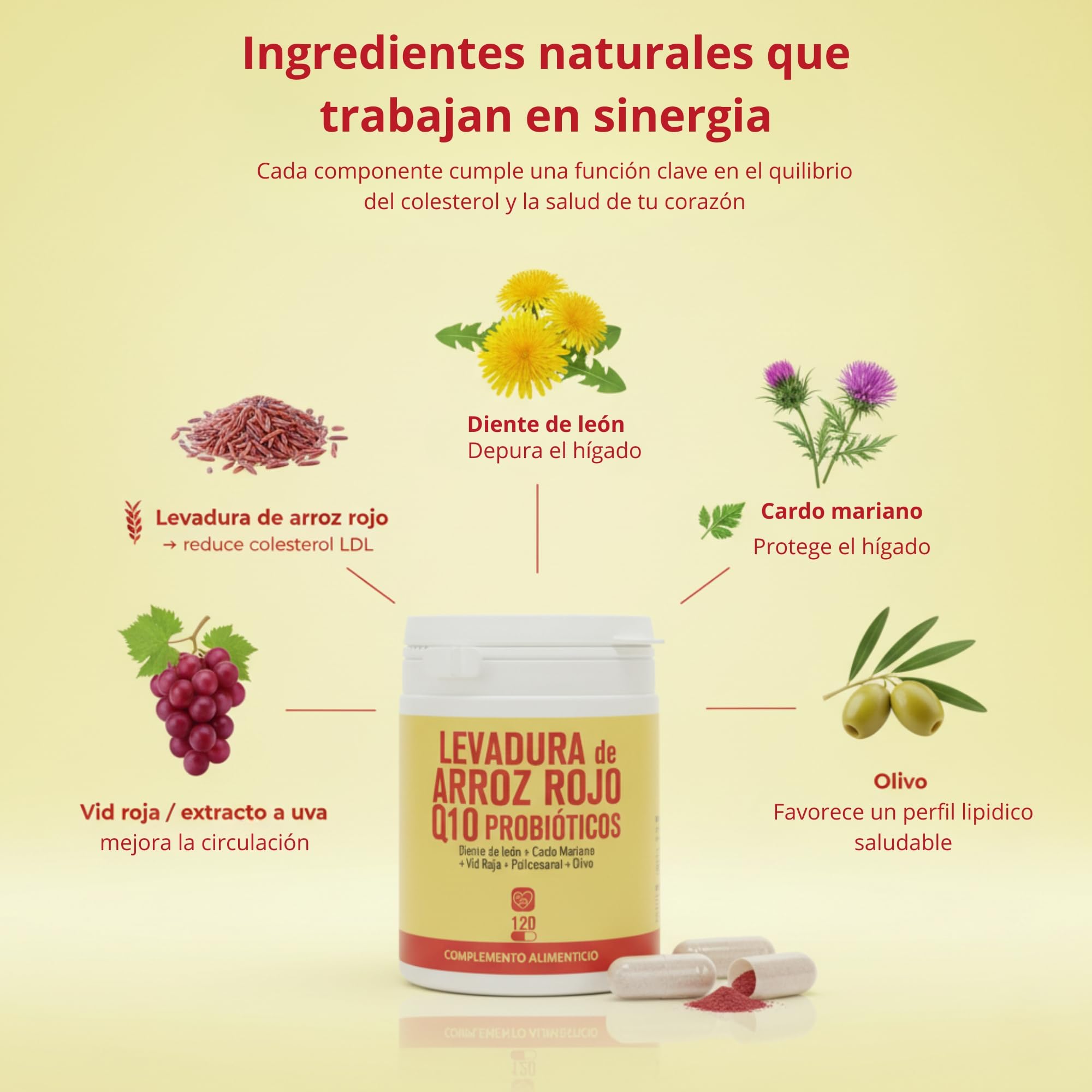 EUROPEA levadura de arroz rojo con Q10 y monacolina k - Arroz rojo colesterol capsulas con Diente de león Cardo mariano y probióticos que ayudan al hígado e intestino - red yeast rice coq10