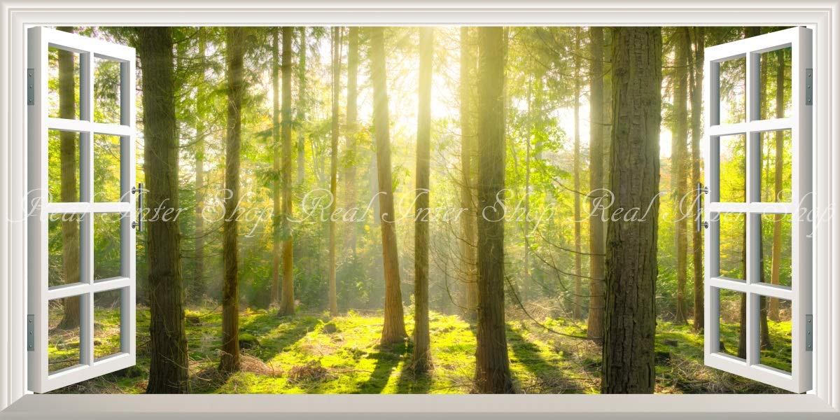 パノラマ版／扉なし窓仕様】-窓の景色- 森林 森林浴 目の保養 壁紙