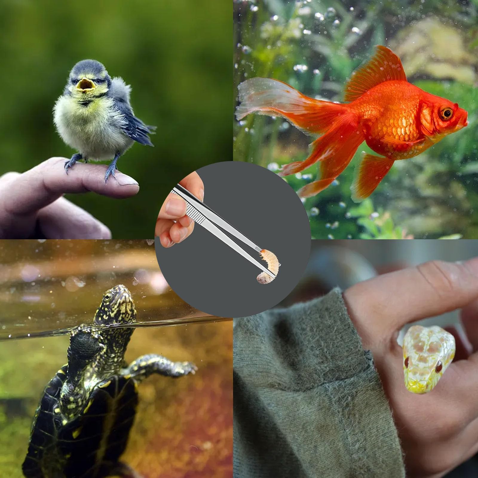View 6