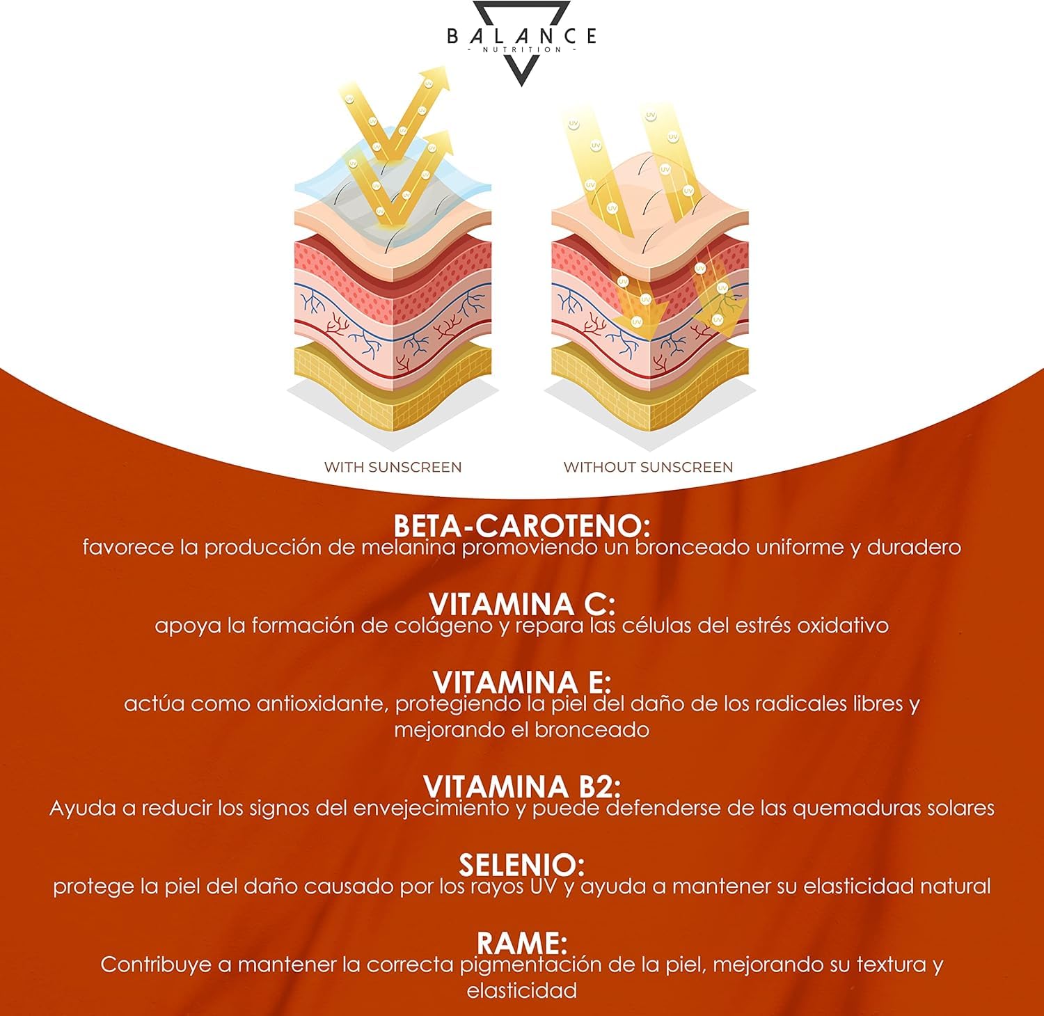 ACELERADOR BRONCEADO - 240 COMPRIMIDOS (Suministro para 8 Meses) | Betacaroteno Capsulas | Betacaroteno para un Bronceado Fuerte, de Extracto de Zanahoria | 100% natural