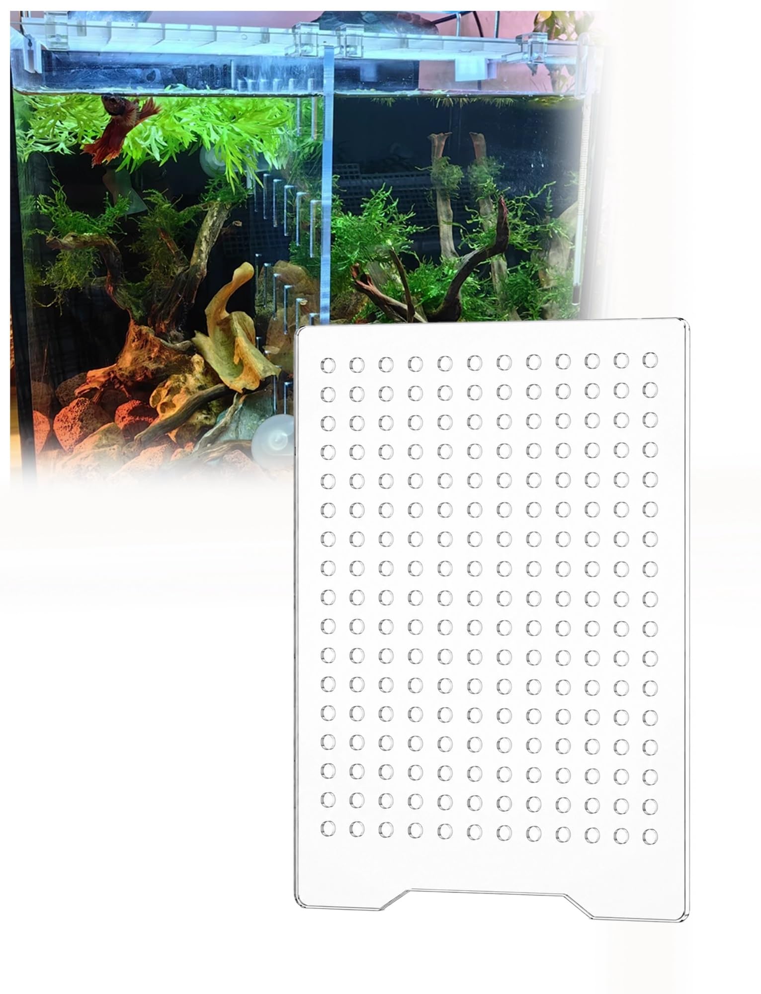 Aquarium Trennscheibe, Acryl Einsatz mit Saugnapfhalterung, Innenliegende Trennwand für Jungfische, Neue Fische und Separate Bereiche(38x43 cm (15.0x16.9 in))