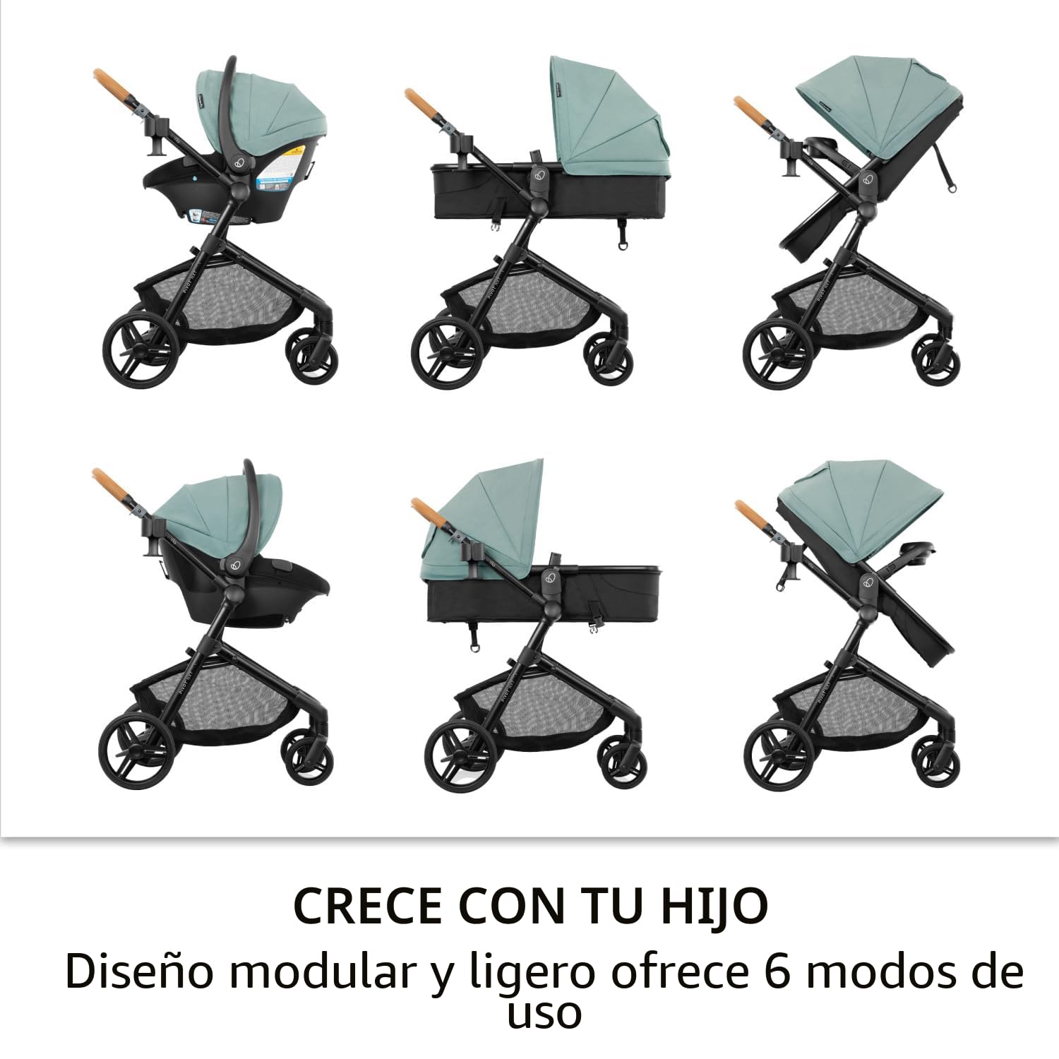 Evenflo Pivot NXT Sistema de viaje con asiento de coche para bebé Revolve180 LiteMax NXT (Driftwood Brown)