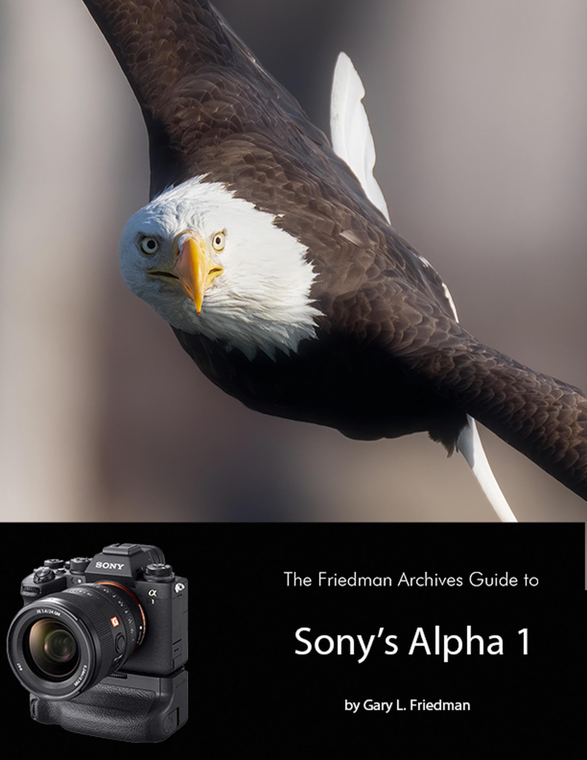 Sony Alpha 1 manuel Friedman Archives English Edition livre technique de photographie
