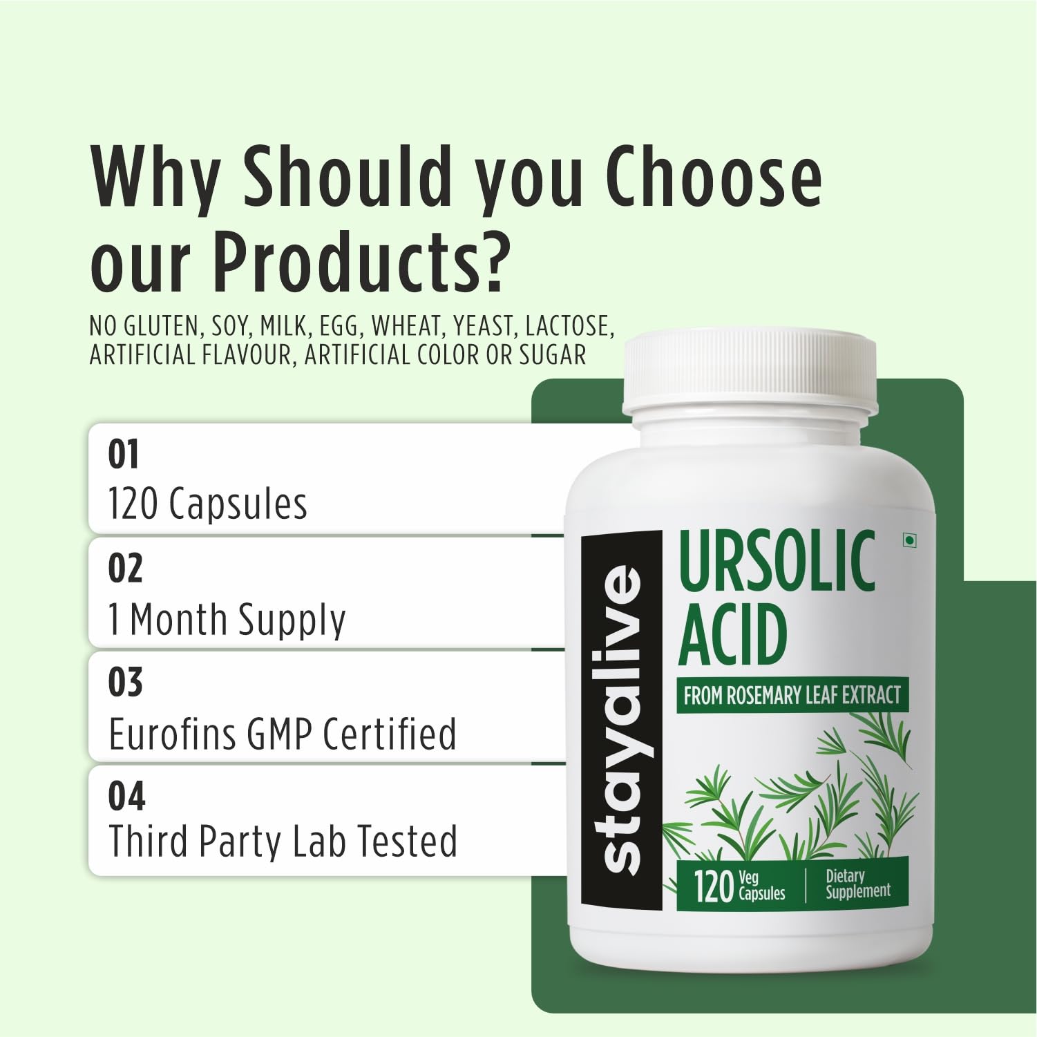 STAY ALIVE Ursolic Acid Supplement for Men & Women 300mg, 120 Pills, Rosemary Leaf Extract Powder, Non-GMO and Gluten-Free Pure Ursolic Acid Capsules 3