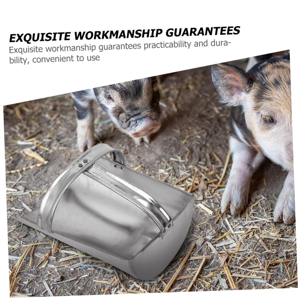 Kisangel Paletta per Mangime in Ferro Spessa e Pratica per Forniture Agricole, Comoda da Usare, per Fattorie e Aree Verdi, Utensile Resistente Argento