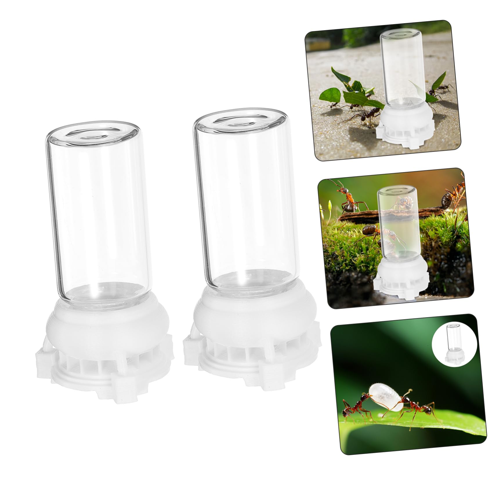 Mangiatoia Per Formiche Da 20 Ml - Stazione Alimentazione Per Nidi, Facile Da Usare - Foto 7