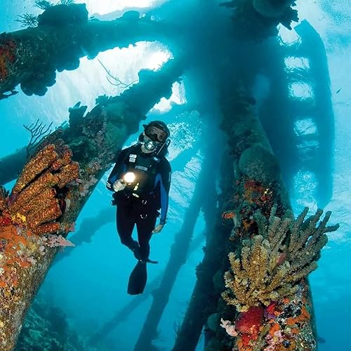 Miniatura 7 de Máscara de buceo con válvula de drenaje de visión amplia, adecuada para adultos, buceo antivaho, botón lateral ajustable rápido, buceo libre y