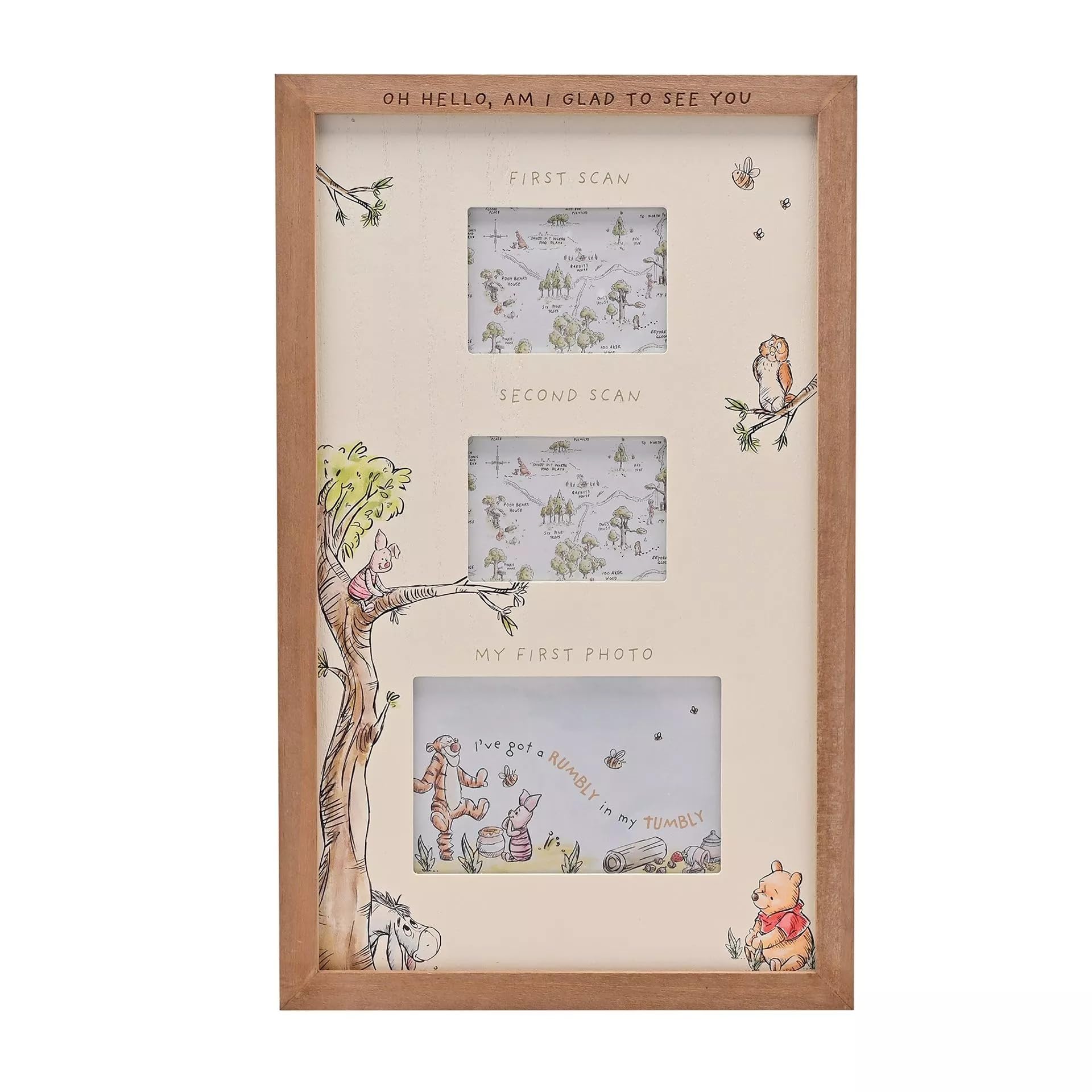 Disney Winnie The Pooh Multi Aperture Scan Frame