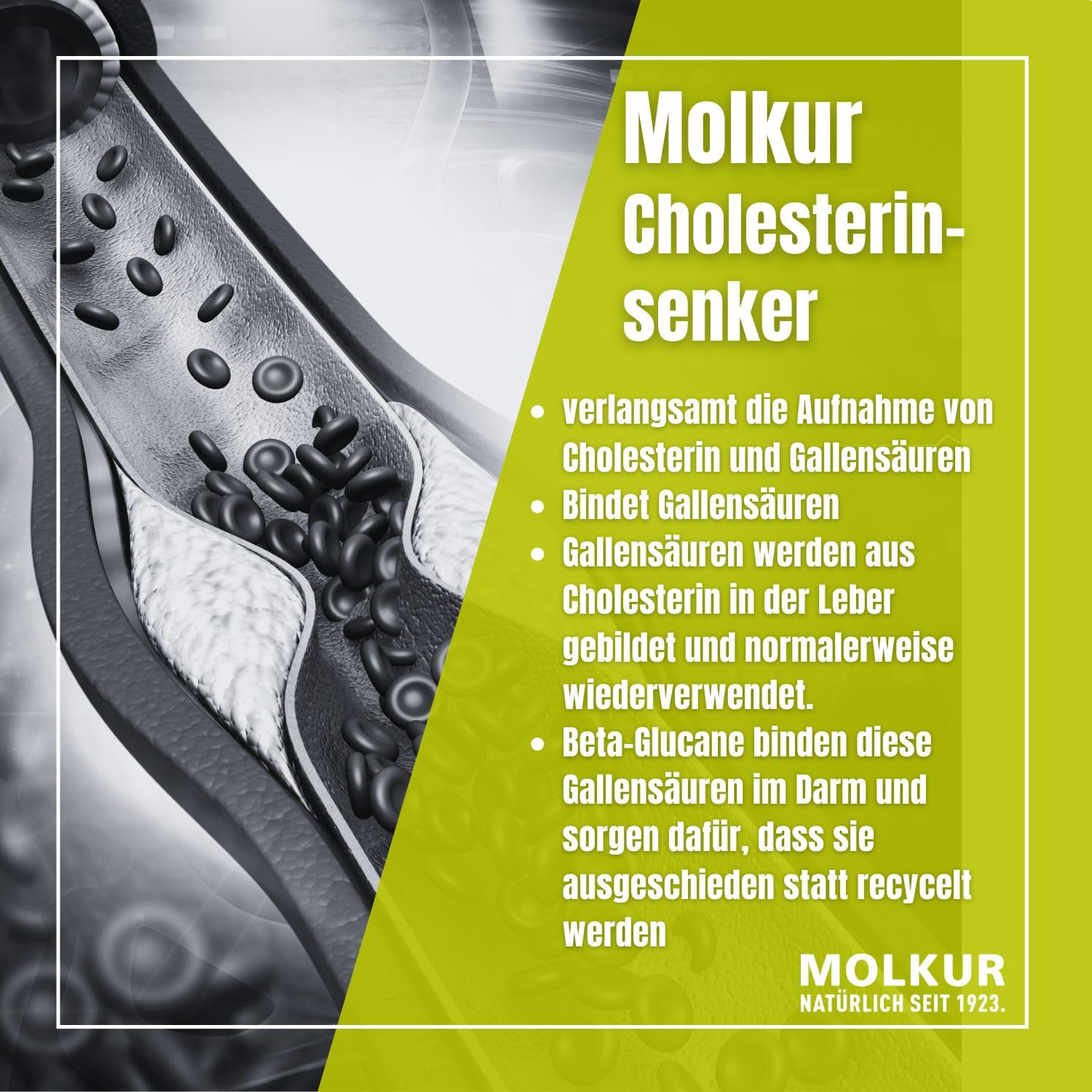 Cholesterinsenker Pulver – mit Hafer-Beta-Glucanen zur natürlichen Cholesterinreduktion – Herzgesundheit & LDL-Senkung – Erdbeergeschmack, Stevia, ohne Phytosterine