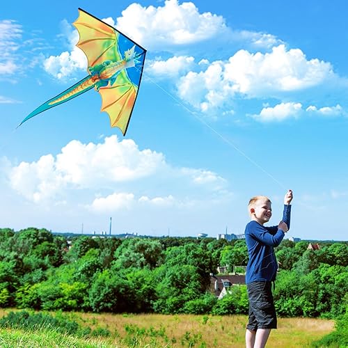 Miniatura 5 de Xida - Cometa Delta grande para niños y adultos, cometa de una sola línea fácil de volar, maravillosa cometa para principiantes para niños de 4 a 8