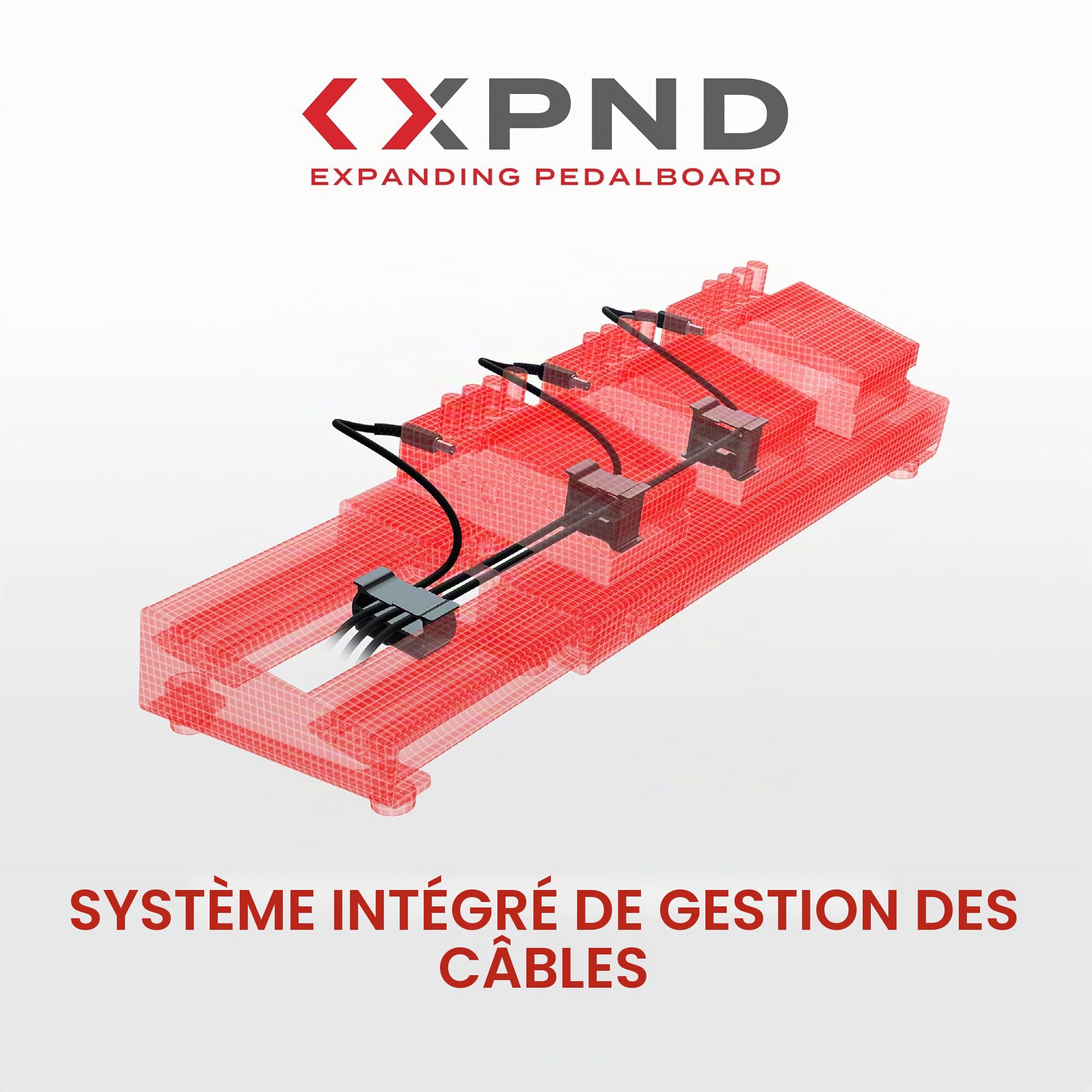 Housse de transport pour pédalier 01 D'Addario Backline